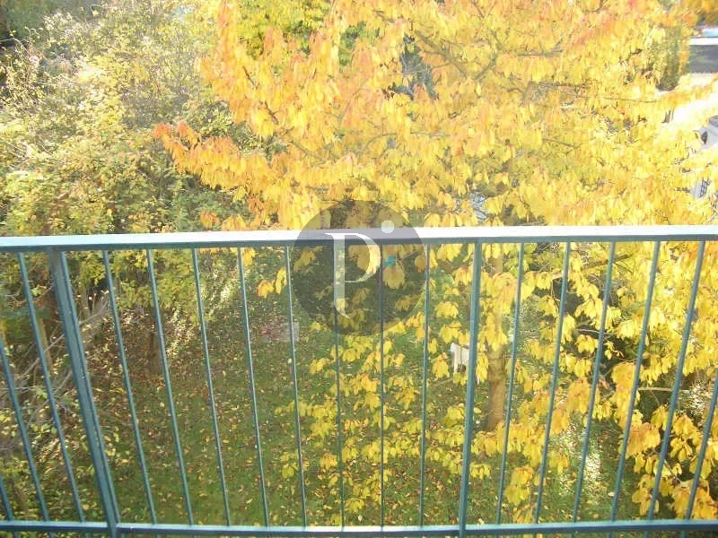 vente-appartement-5-pieces-sceaux-83876554