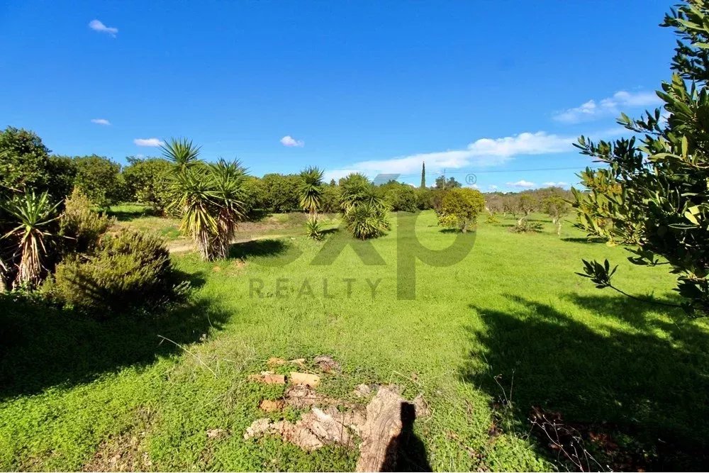 Charming Countryside Gem Near Fuseta 85948757 image 30
