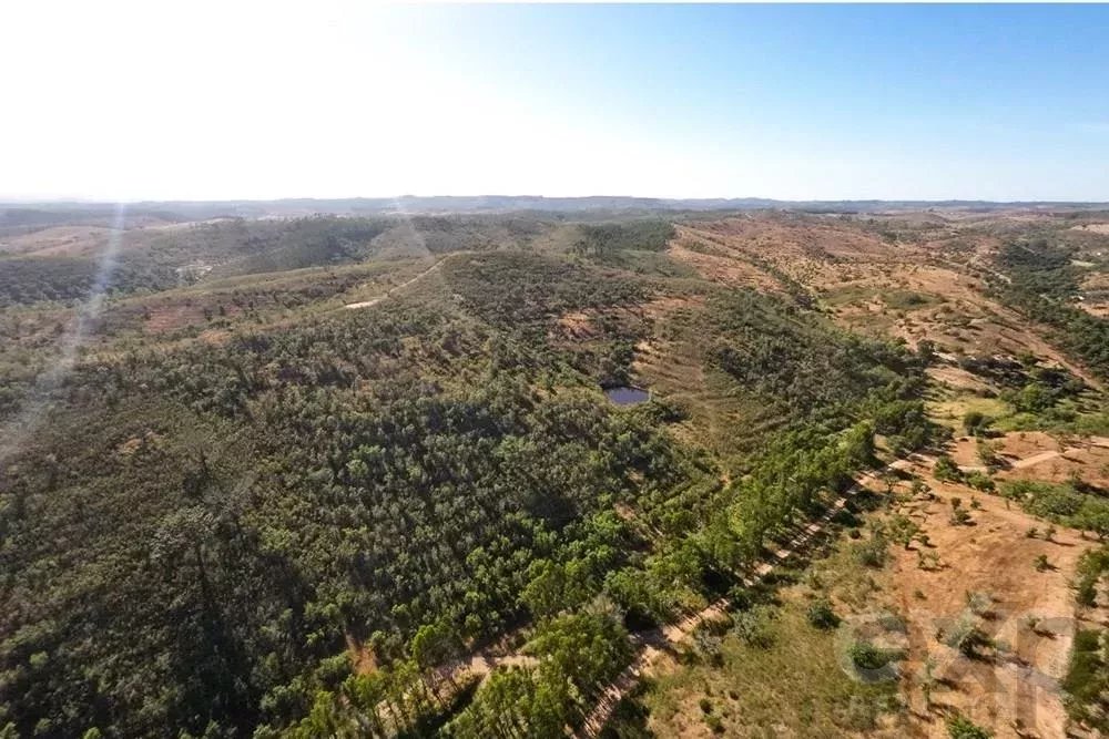 Exceptional 65-Hectare Estate in Alentejo with Tourism Development Potential 85506160 image 17