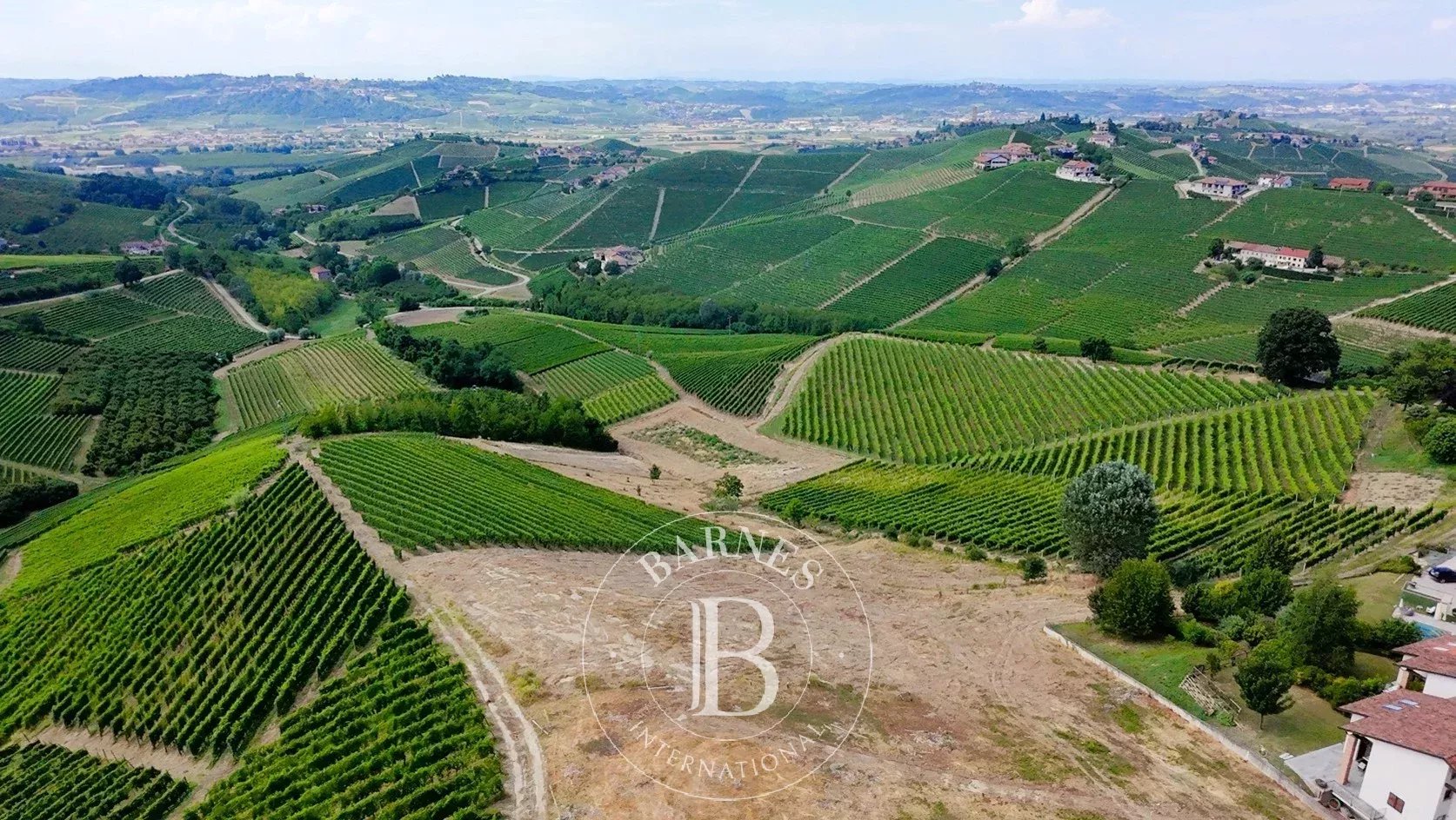 Terreno Edificabile in Vendita – Barbaresco (CN), Cuore delle Langhe UNESCO