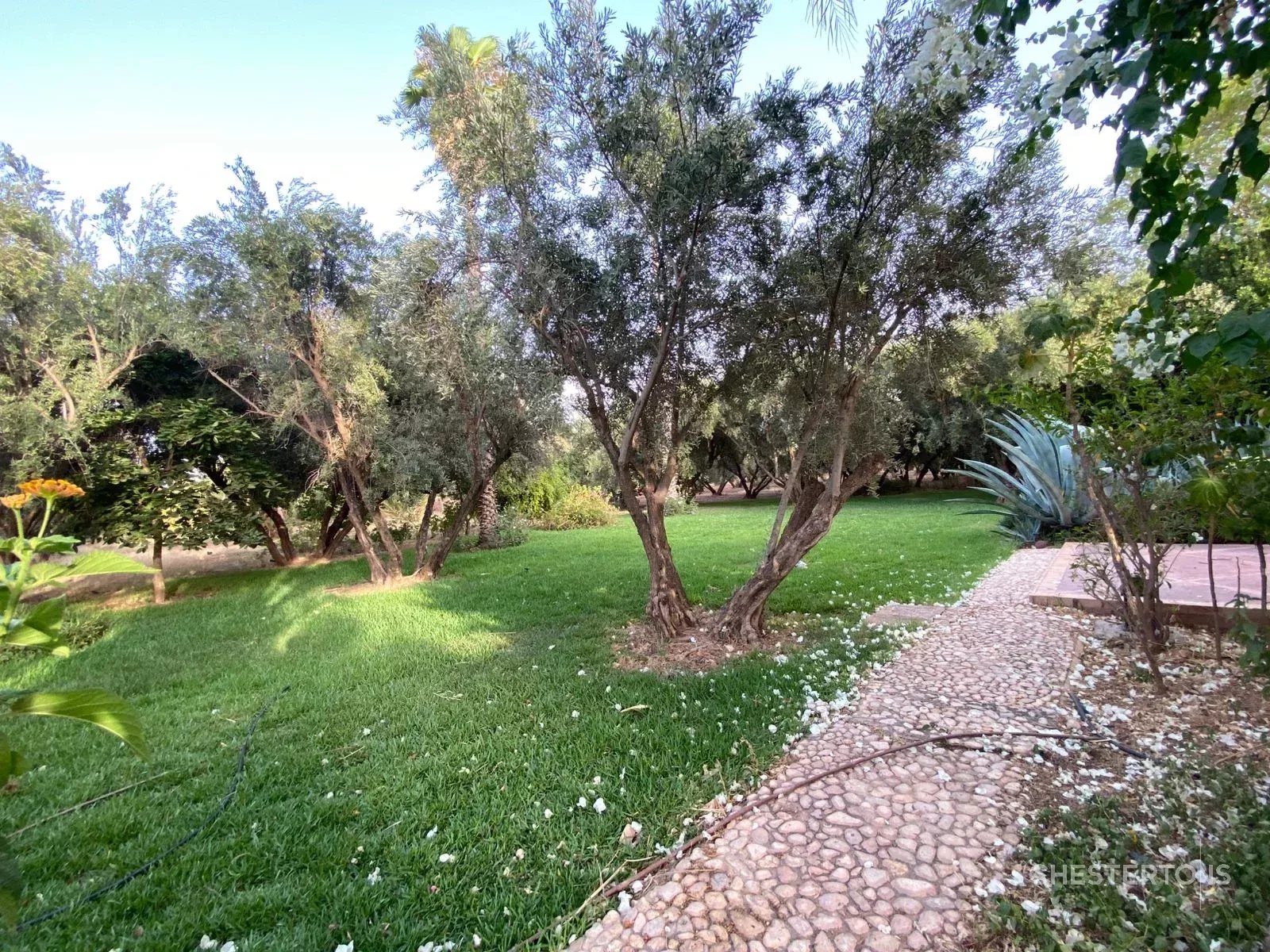 Image of Villa - 8 Bedrooms for Sale in Marrakech-Ménara-Marrakech-Morocco, Image 29