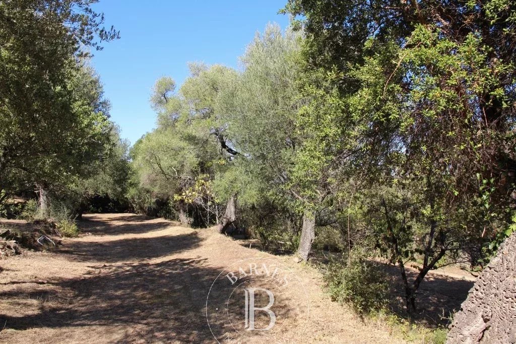 Villa Porto-Vecchio - picture 7