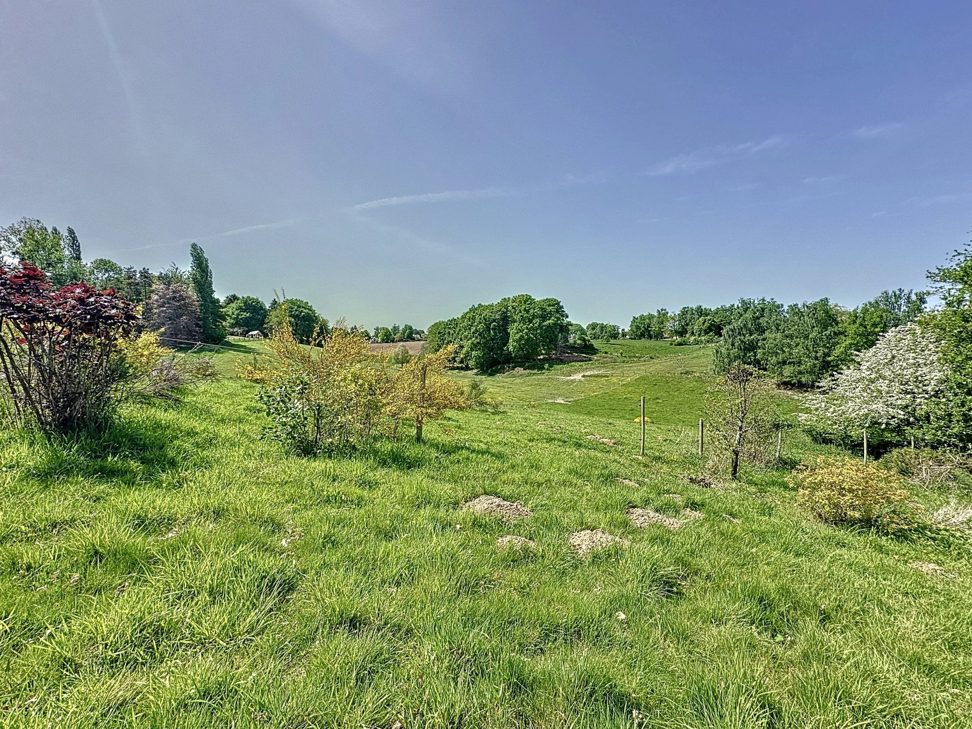 Lasne – Domaine de 5ha avec projet approuvé