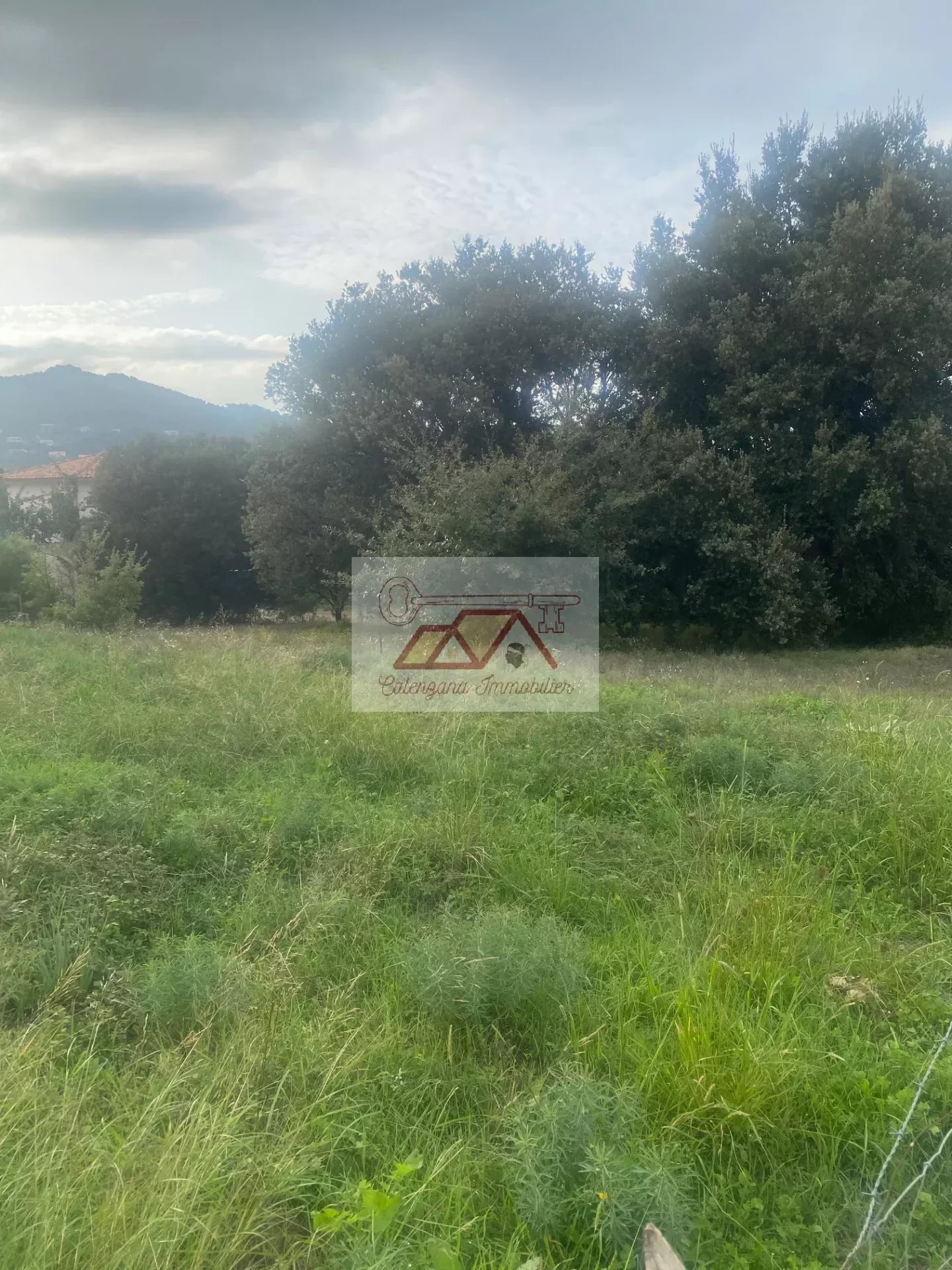 Beau terrain à bâtir de 1 105 m² hors lotissement à Calenzana