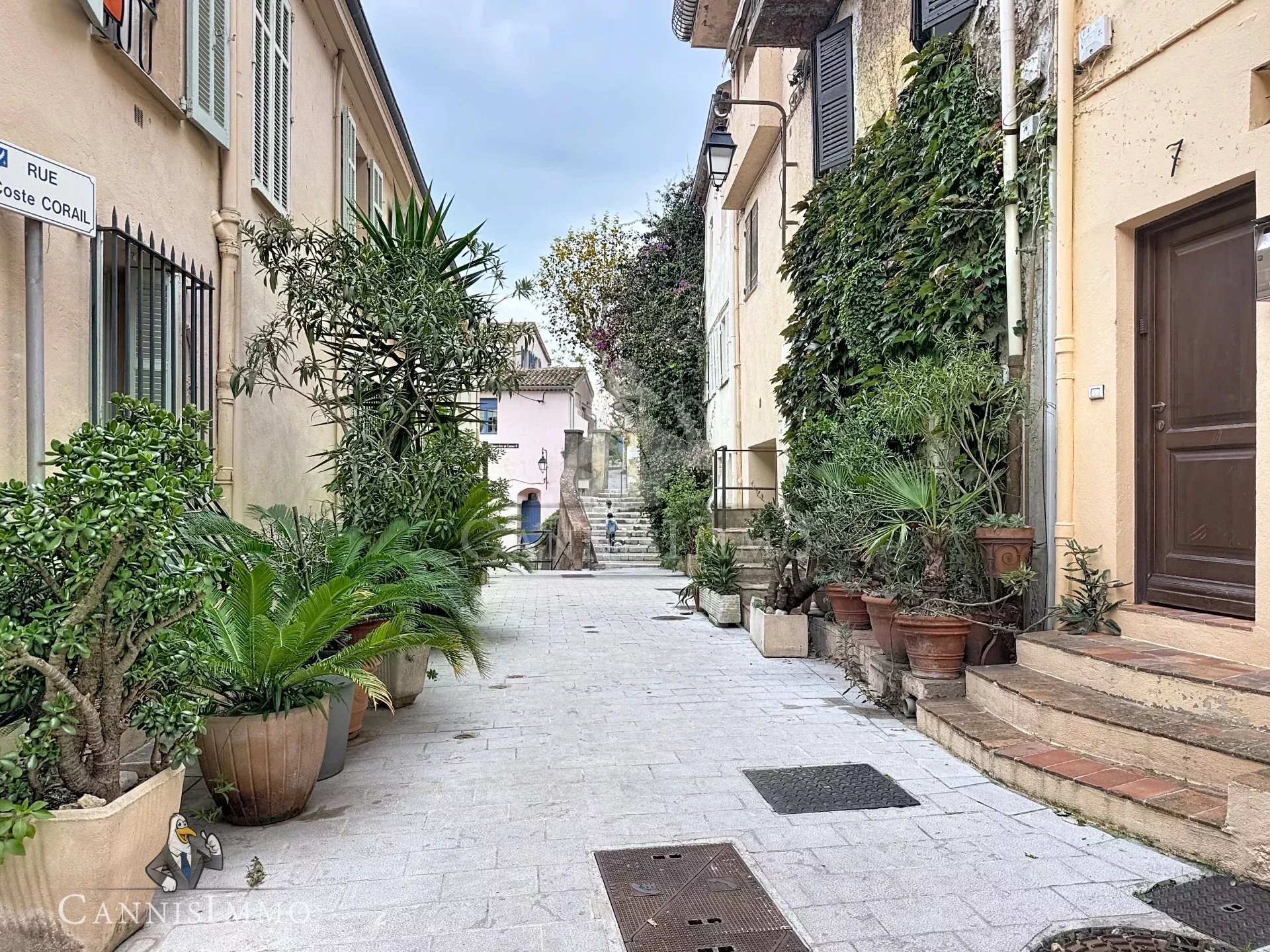 Agence immobilière de CANNISIMMO