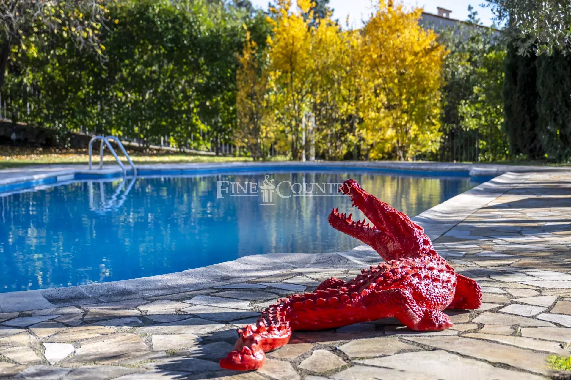 Photo of Villa for sale - Plascassier - Grasse