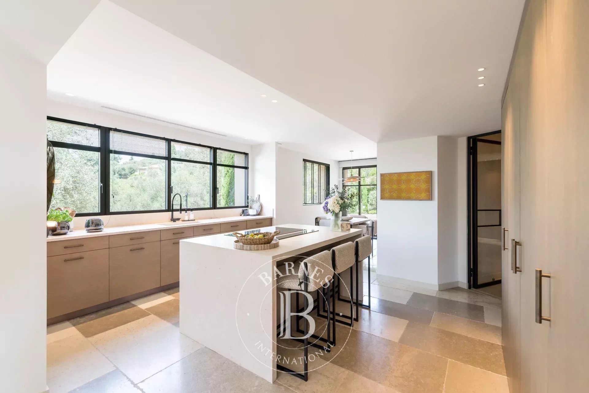 Ev Mougins - picture 7