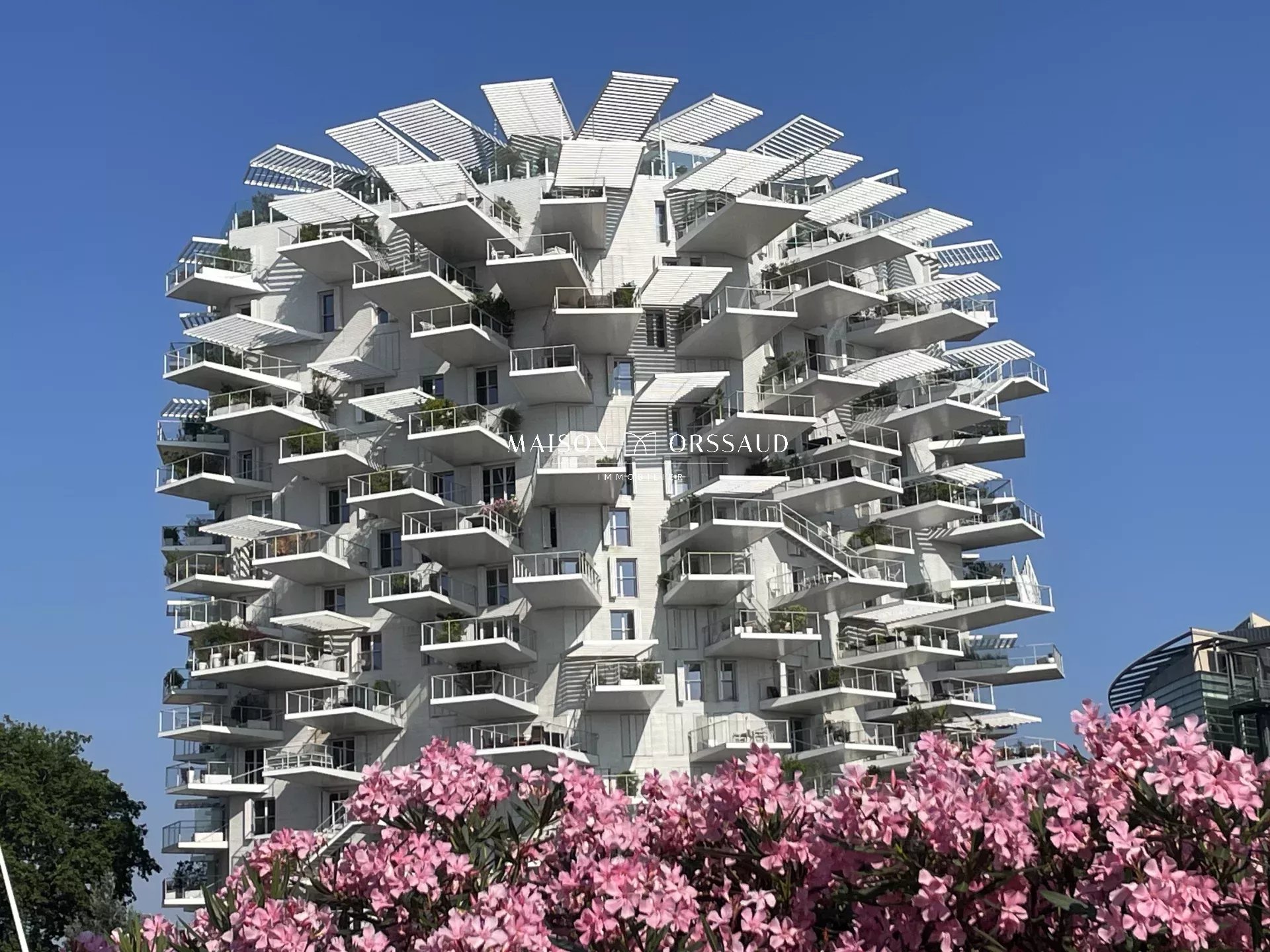 UNIQUE EXCLUSIVITY AT L'ARBRE BLANC