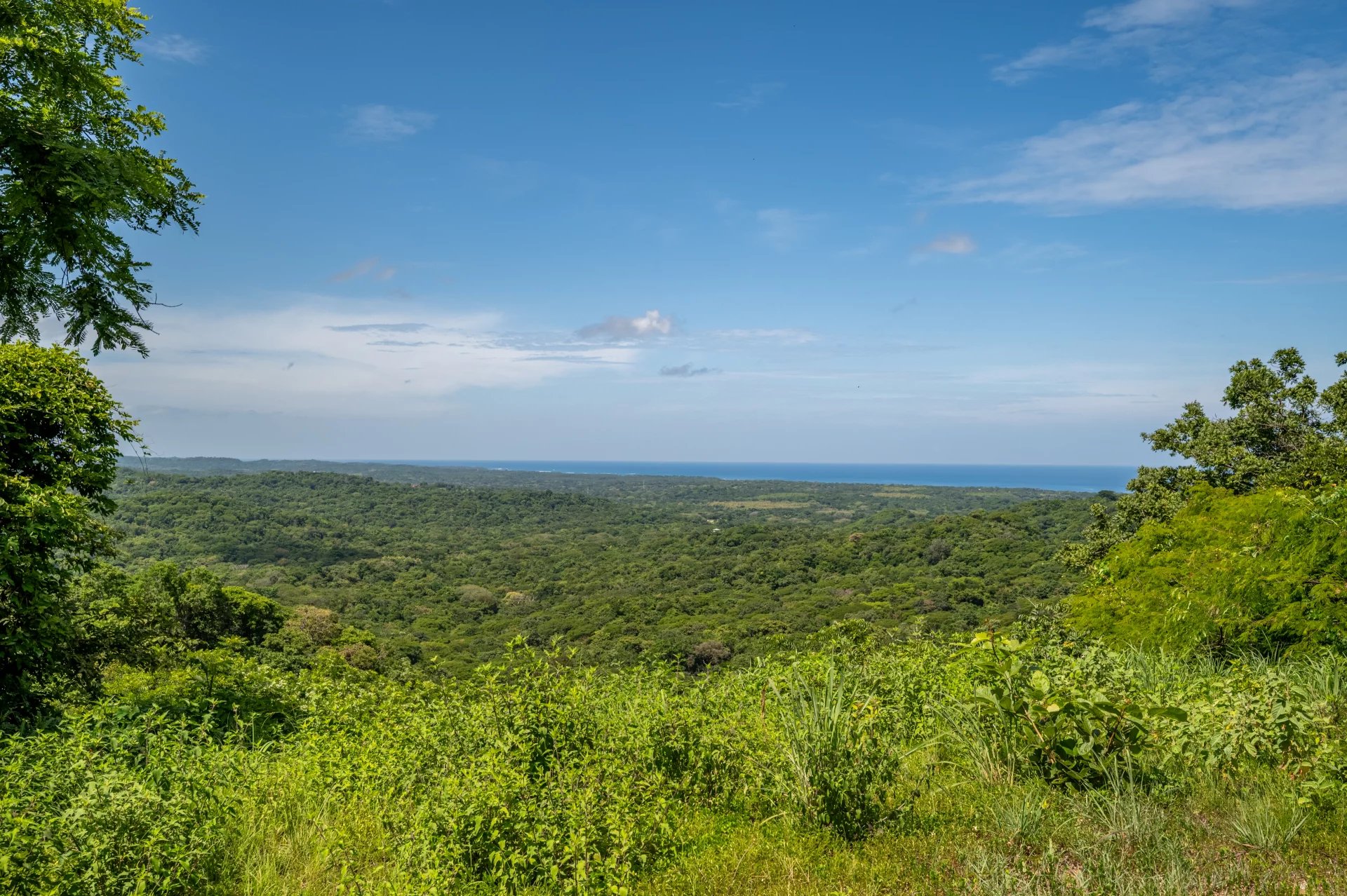 Venta Terreno Santa Cruz