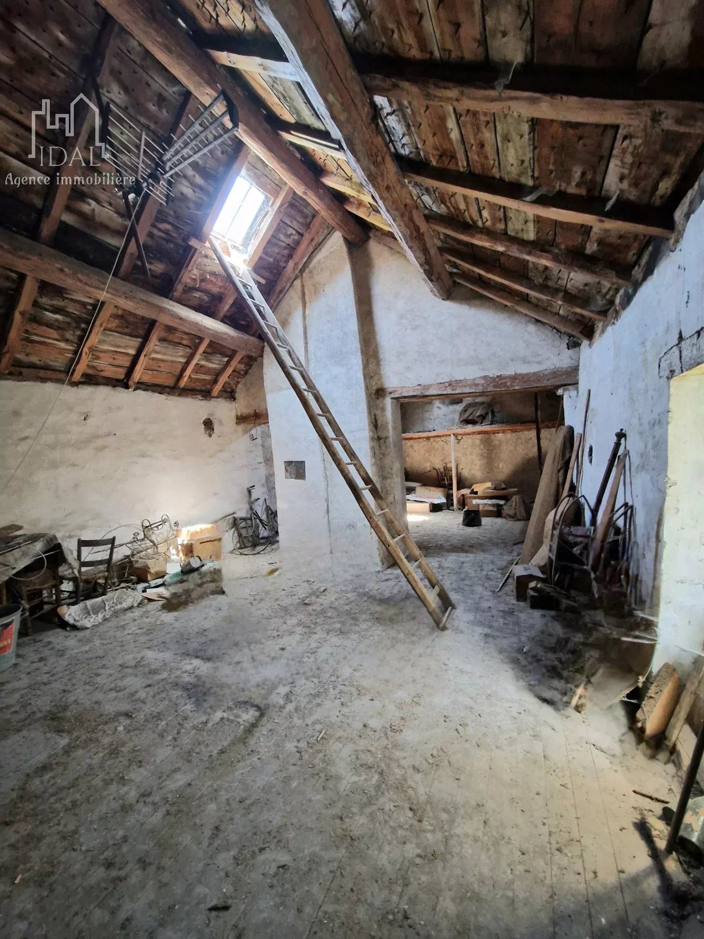 Photo 5