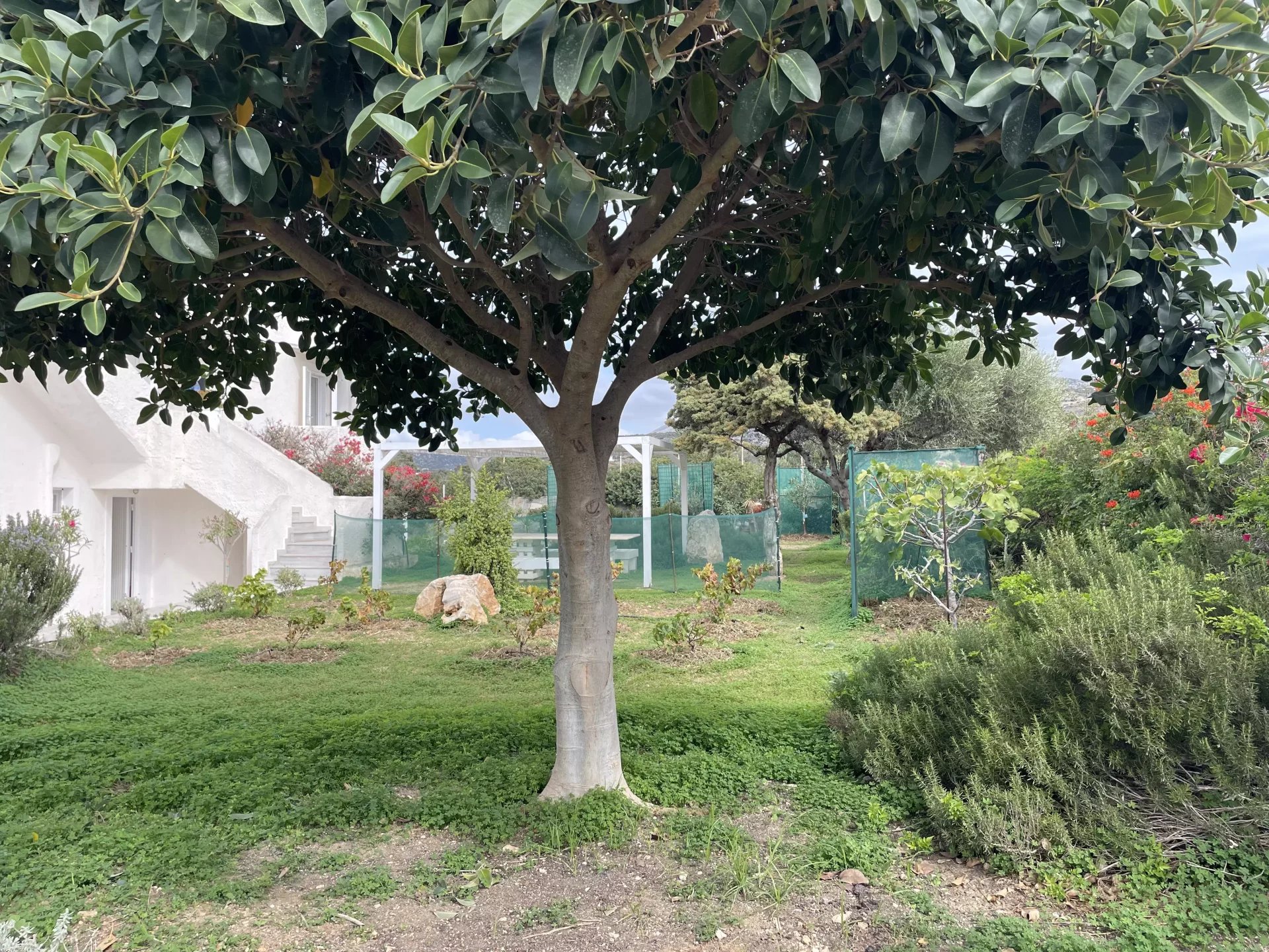 Εικόνα ιδιοκτησίας 24