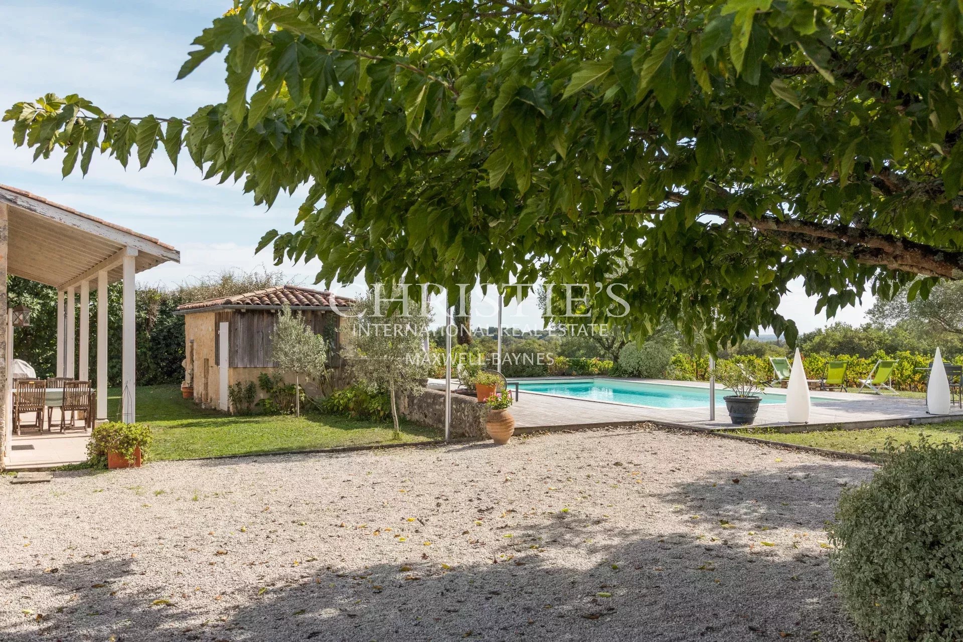 Vineyard's Image 15