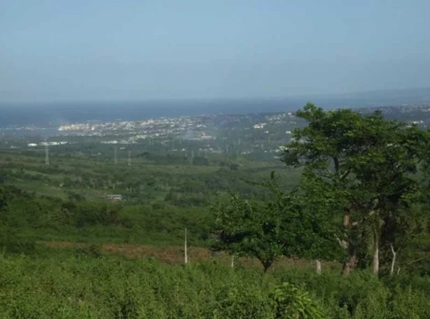 Magnifique ferme laitière et agricole située à l'ouest de Puerto Plata, sur la côte nord de la République dominicaine.