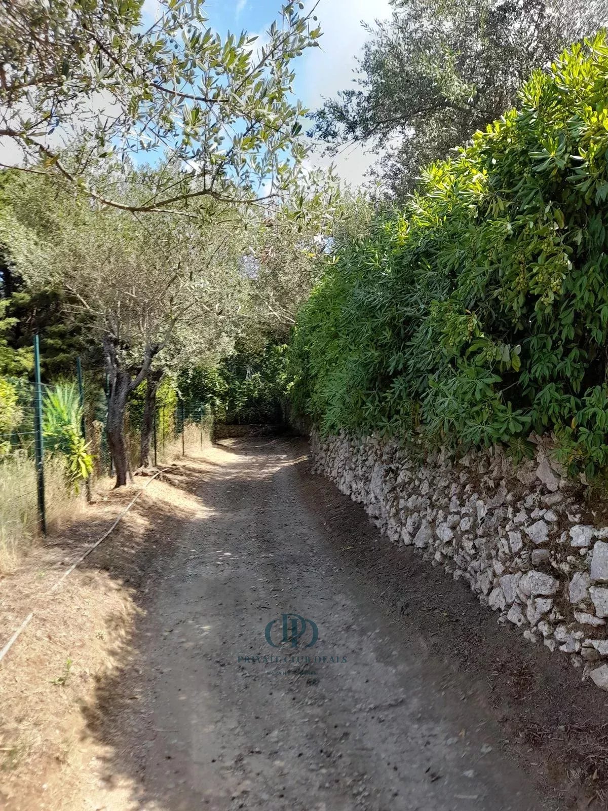 Kulübe Anacapri - picture 6