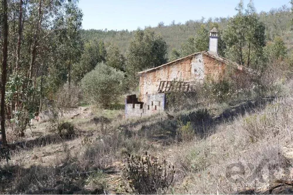 Exceptional 65-Hectare Estate in Alentejo with Tourism Development Potential 85506160 image 38