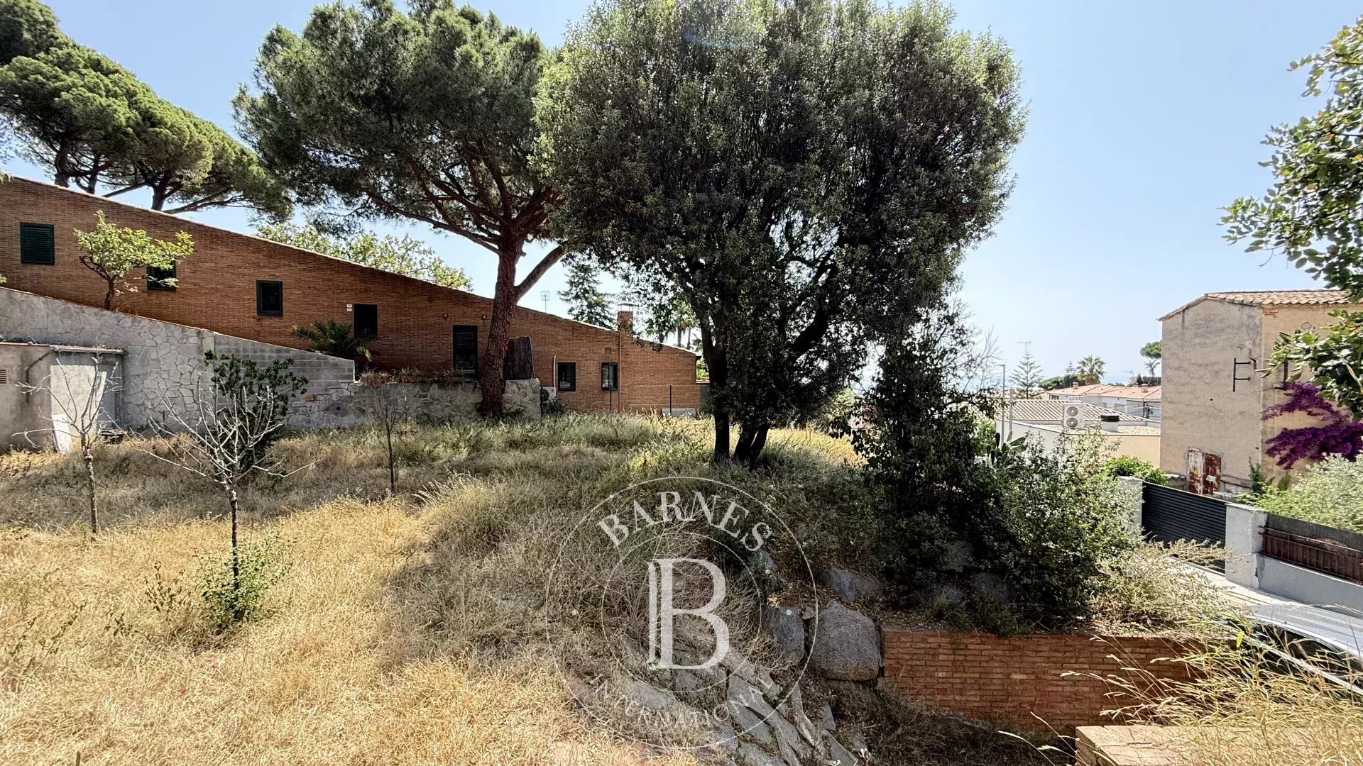 Arazi Premia de Dalt