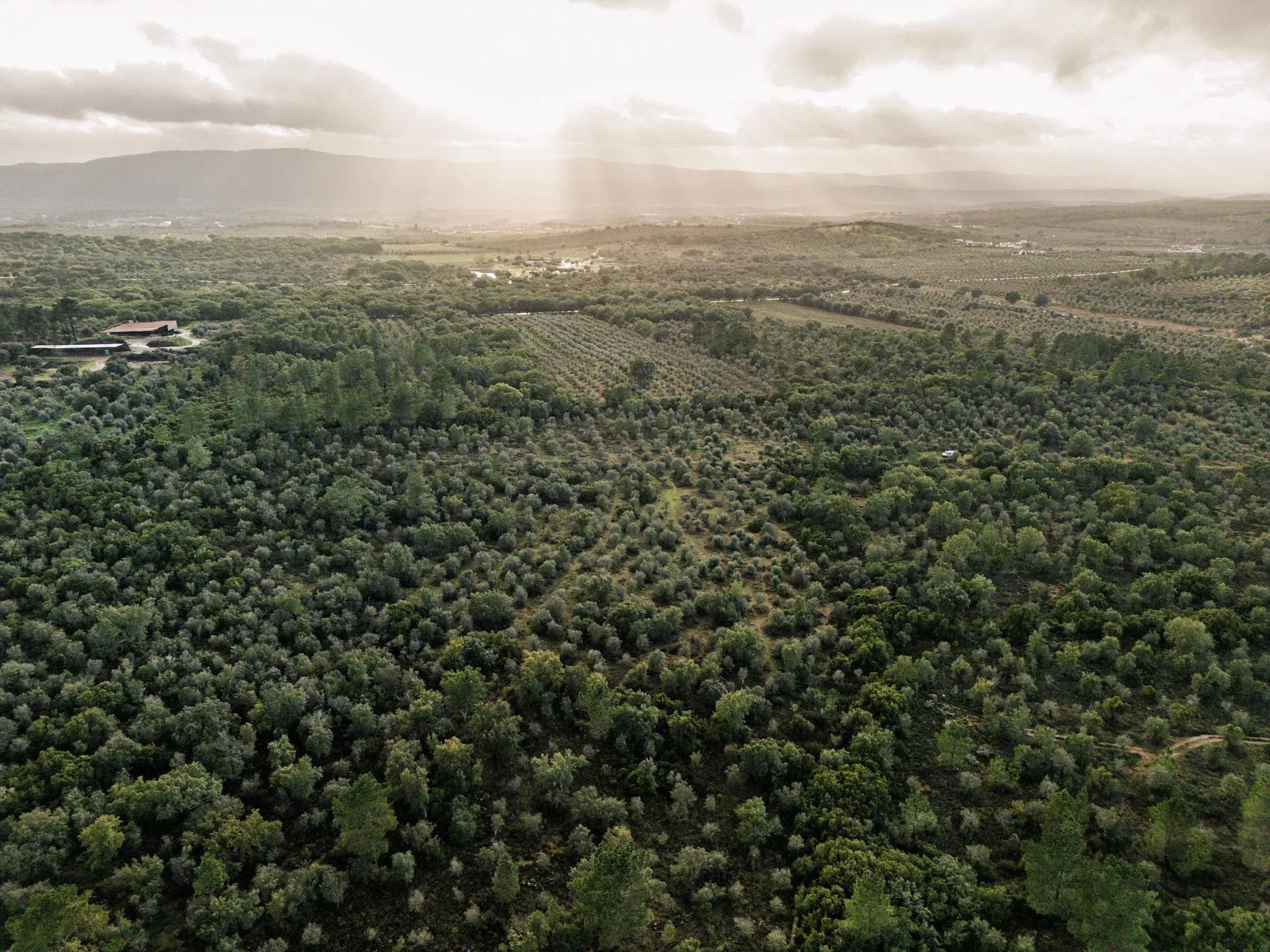 Where Africa meets Alentejo: 5.54ha approved for 200-bed eco resort, next to Europe's only elephant sanctuary 7150-099 image 3