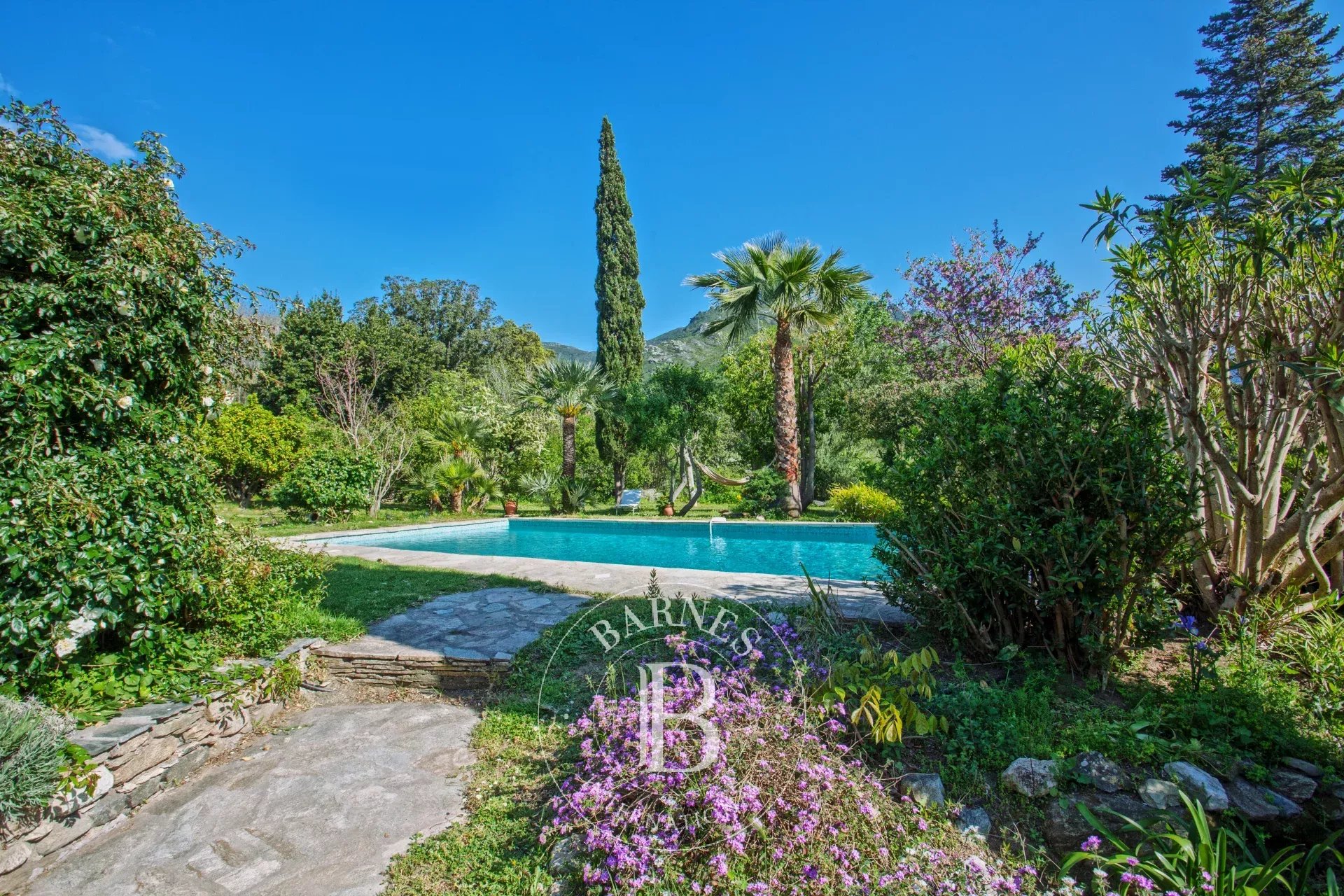 Saint Florent region, stone property with swimming pool