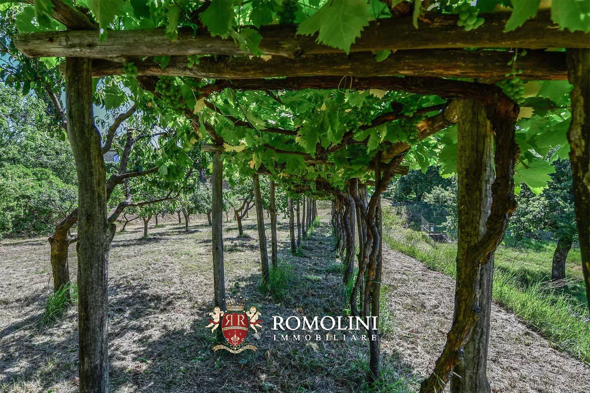 16 Bedroom Vineyard's Image 46