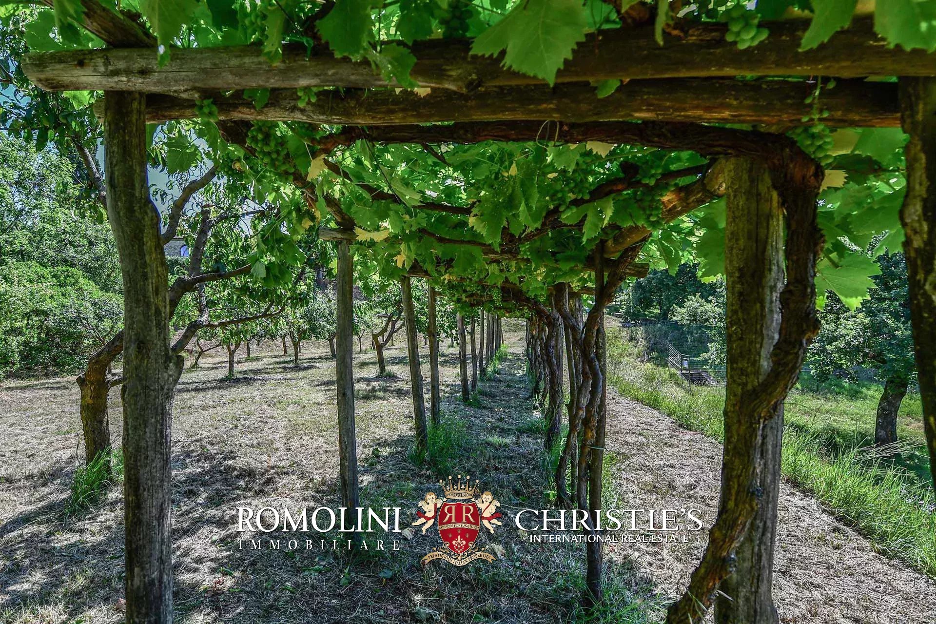 16 Bedroom Vineyard's Image 46