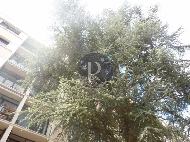 location-appartement-1-piece-fontenay-aux-roses-83876303