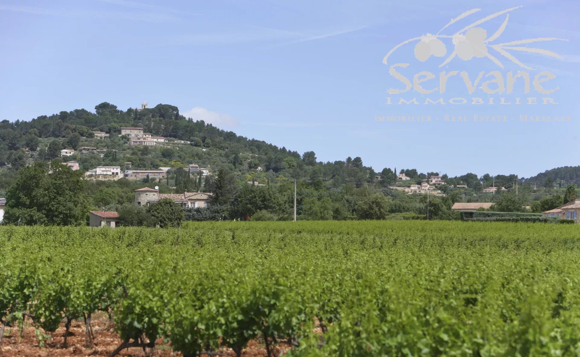 VINES PROPERTY FOR SALE IN COTIGNAC