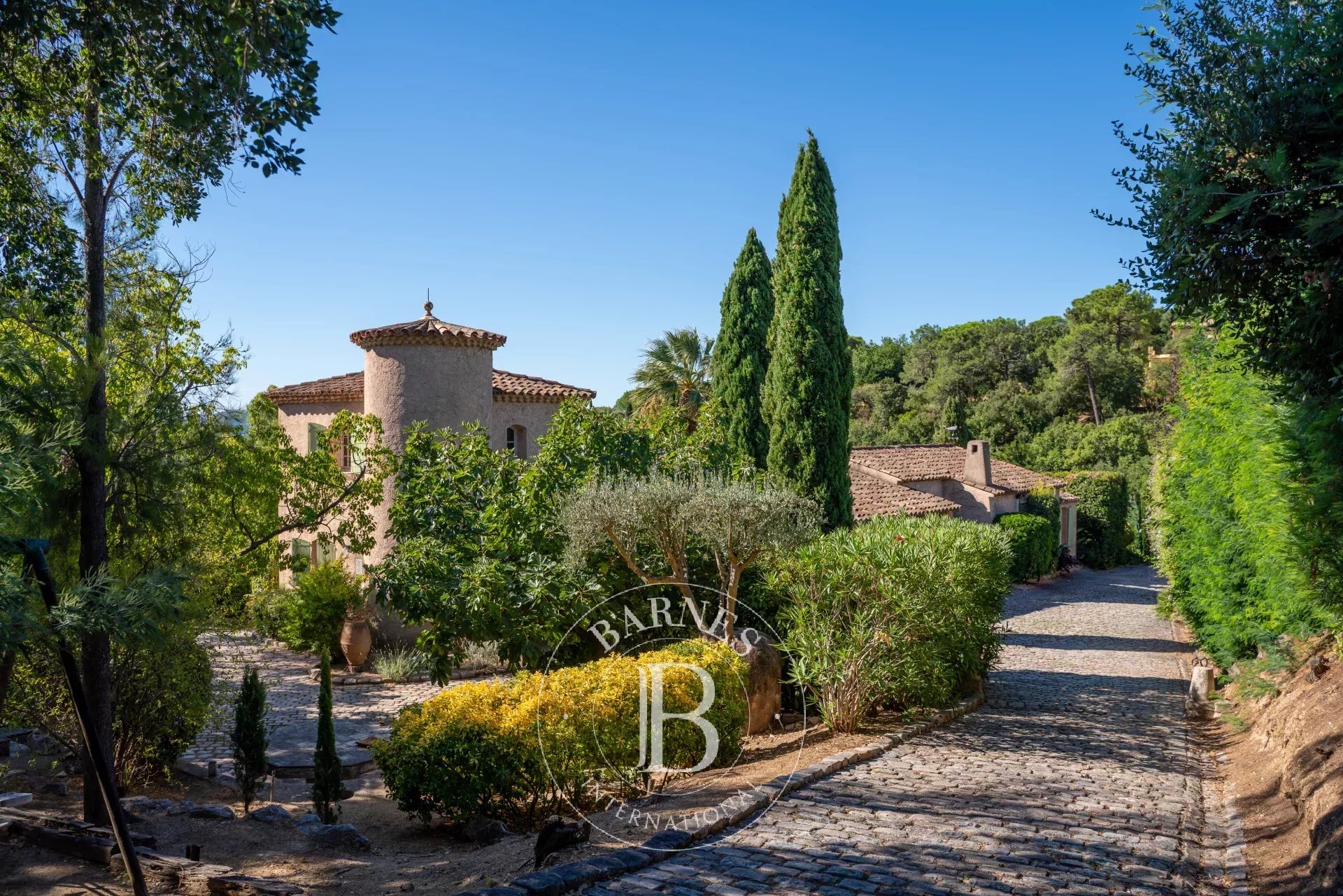 Ev Grimaud - picture 5