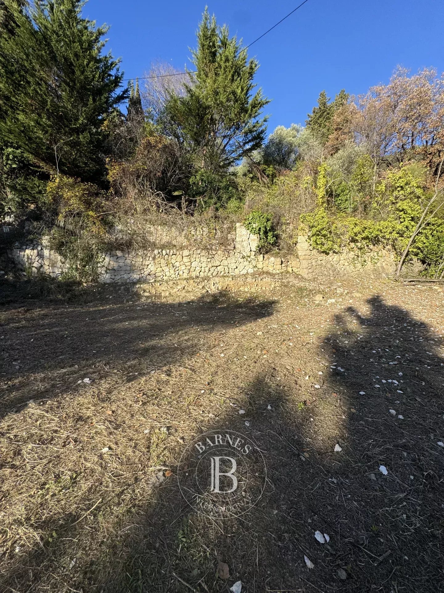 Grasse  - Terrain  - picture 14