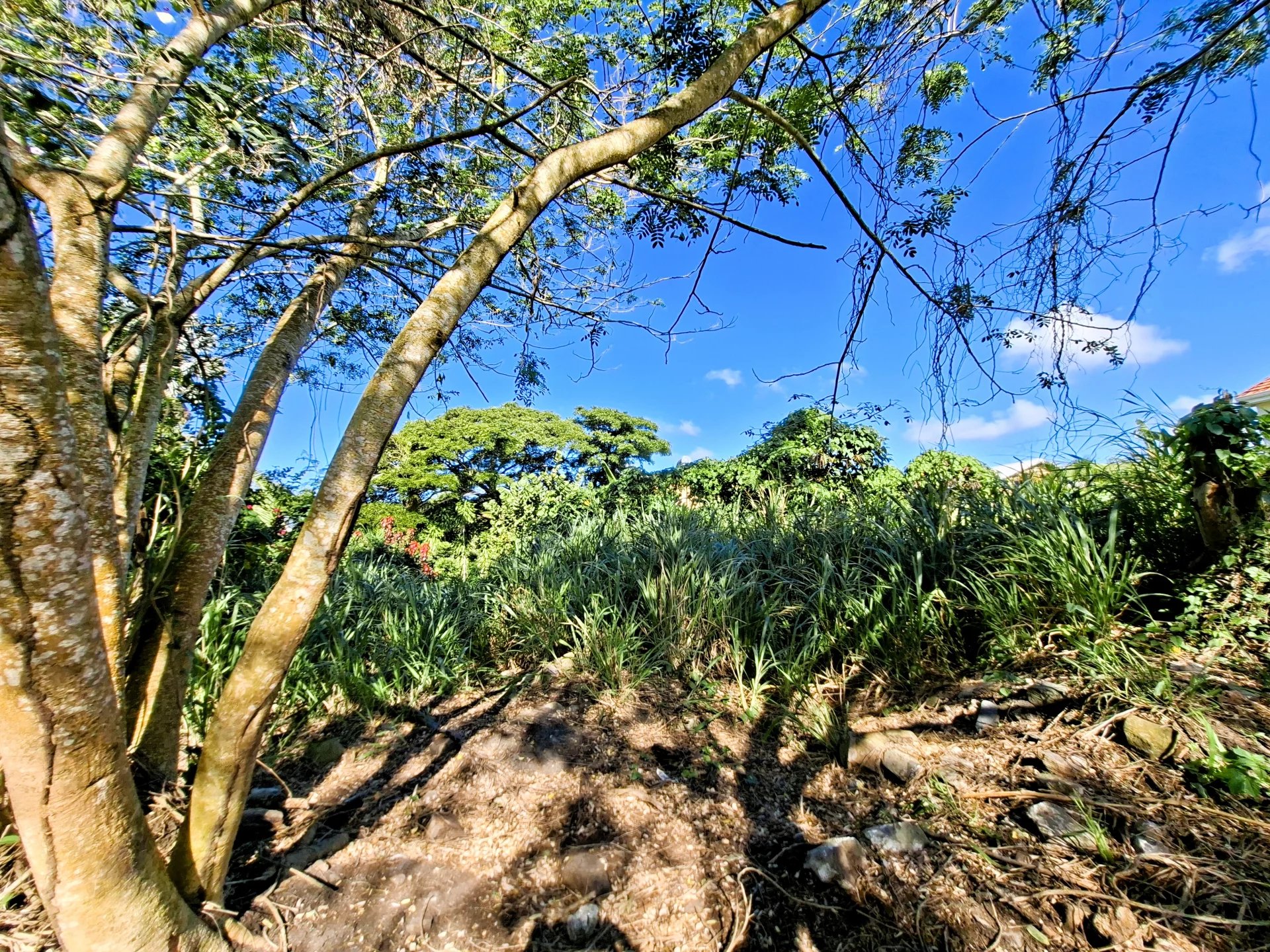 Agence immobilière de KAZA IMMO