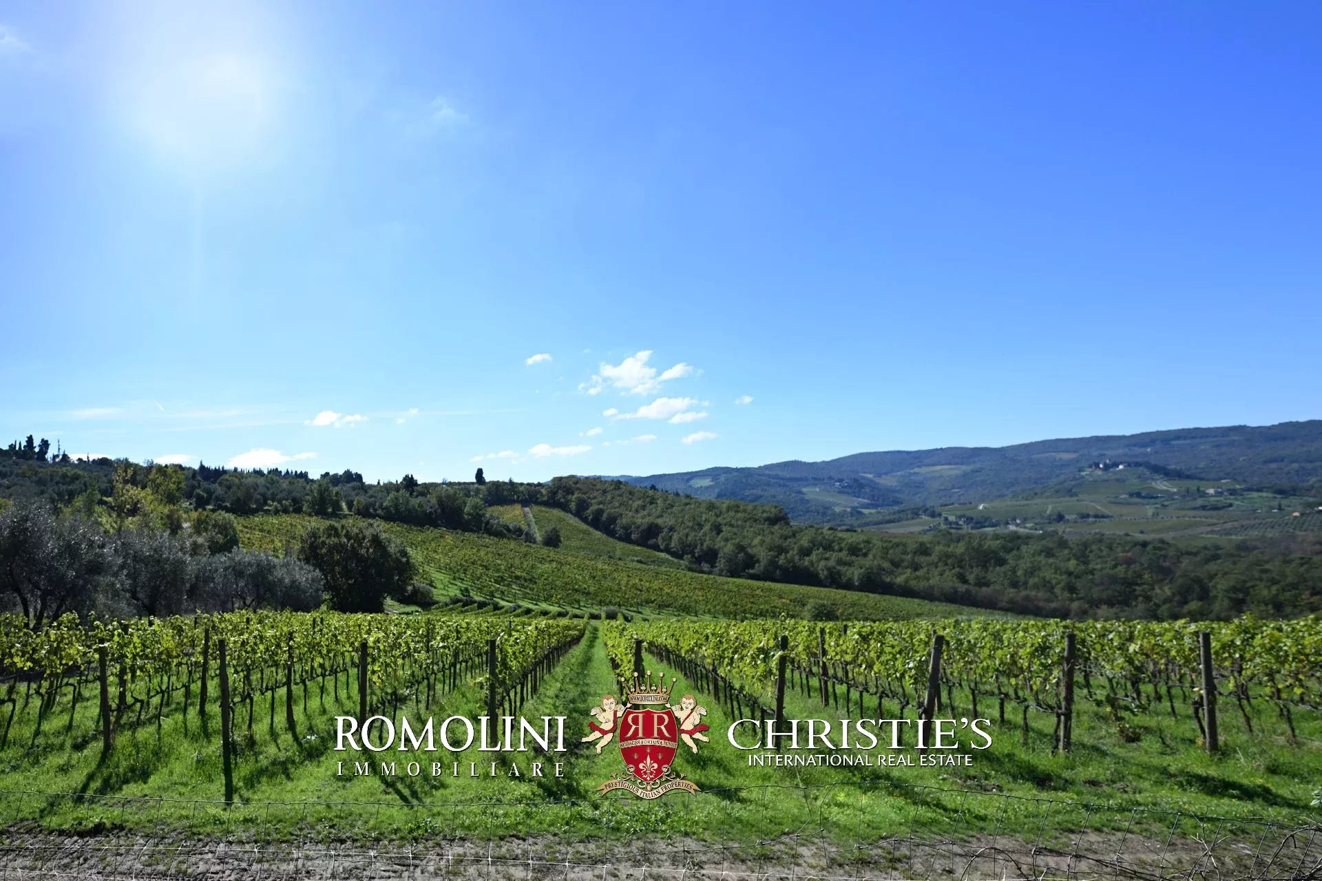 17 Bedroom Vineyard's Image 26