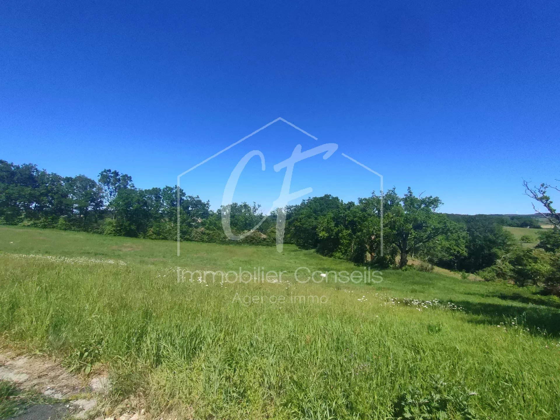 Vente Terrain constructible Salles-Curan