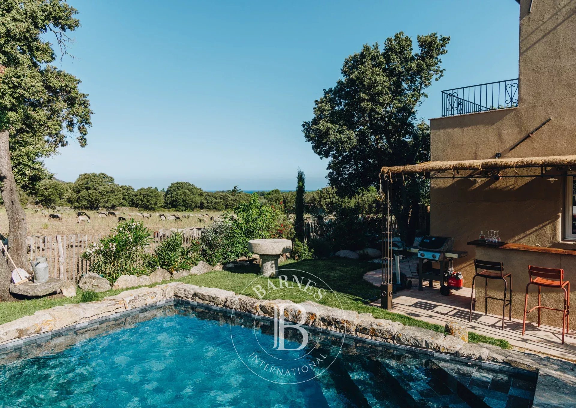 Villa L'Île-Rousse  -  ref 83030677 (picture 2)