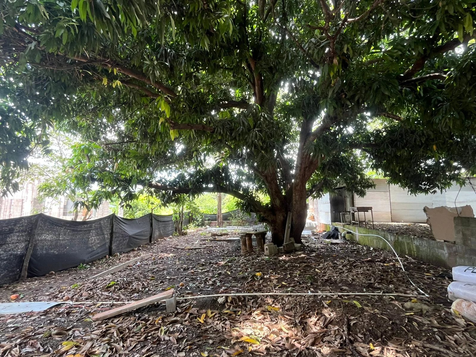 Vente Terrain Tamarindo