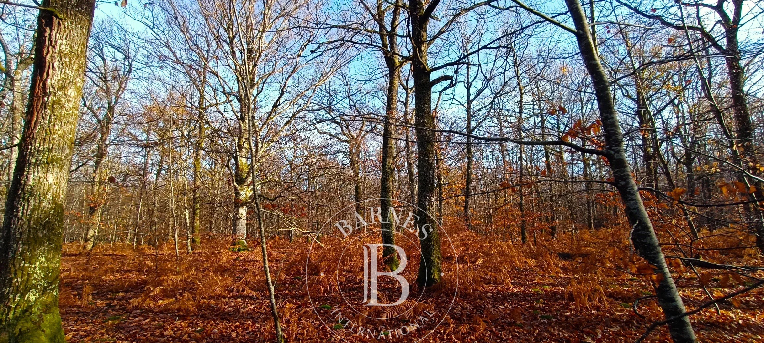 Propriété Neuvy-sur-Barangeon  -  ref 87302436 (picture 2)