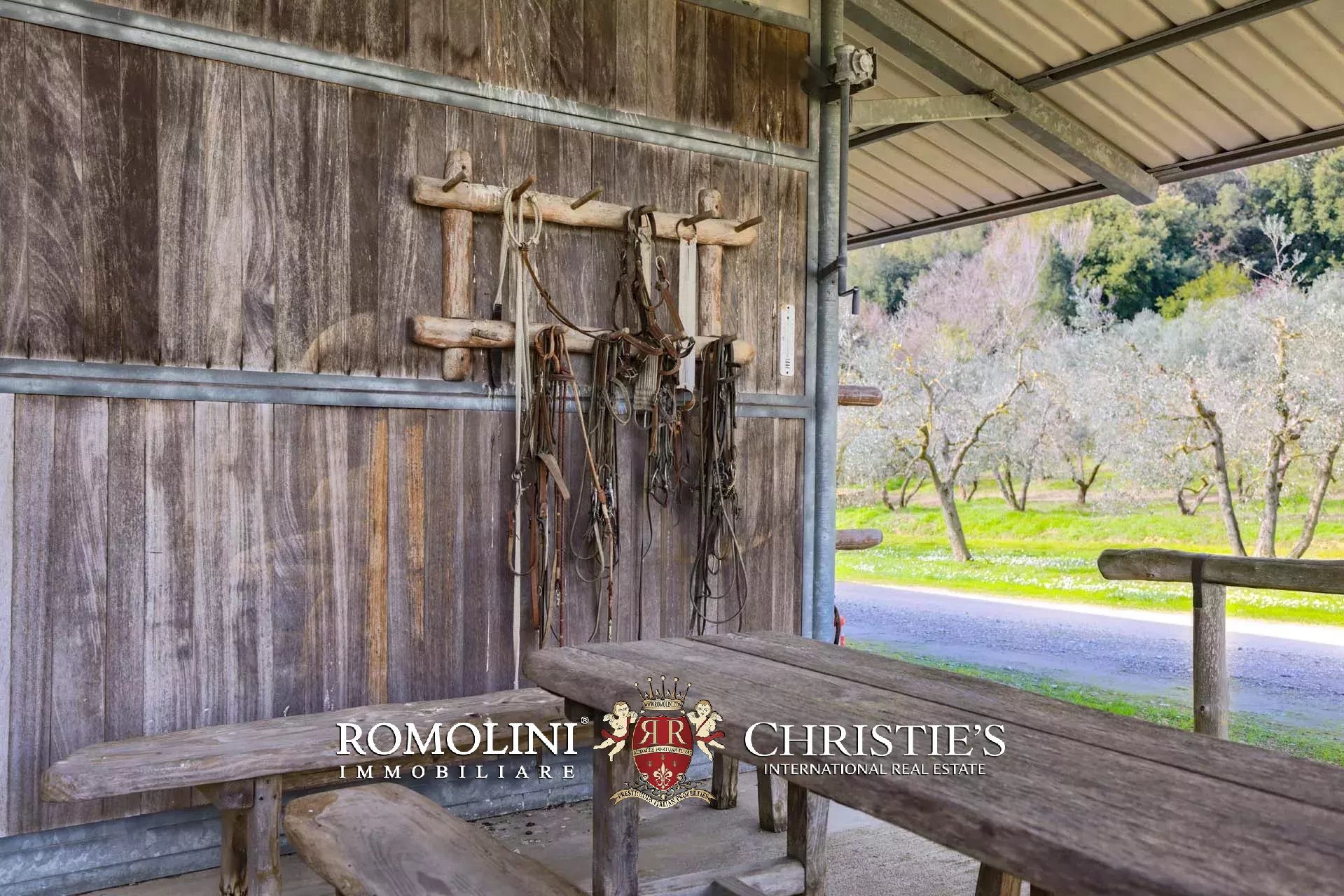 EQUESTRIAN SEA VIEW WINE ESTATE WITH VINEYARDS FOR SALE CLOSE TO BOLGHERI, TUSCANY
