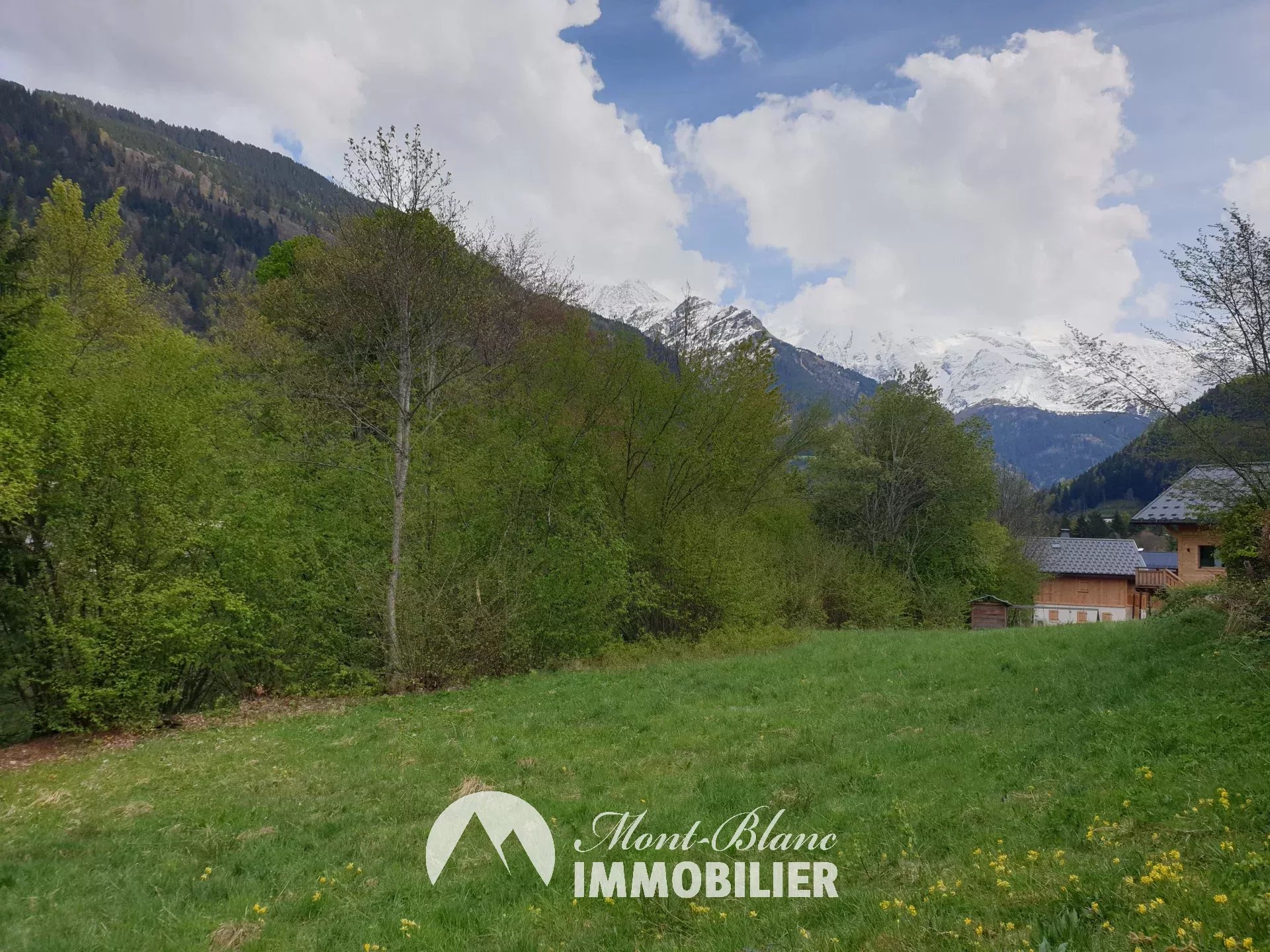 Agence immobilière de SAS MBI