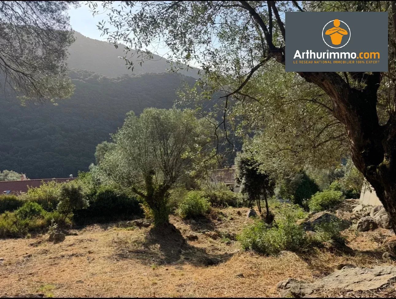 RARE À LA VENTE - TERRAIN CONSTRUCTIBLE OLMETO - Photo 4