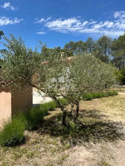 CHARMING HOUSE MONTFORT SUR ARGENS T3