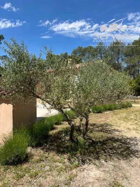 CHARMING HOUSE MONTFORT SUR ARGENS T3
