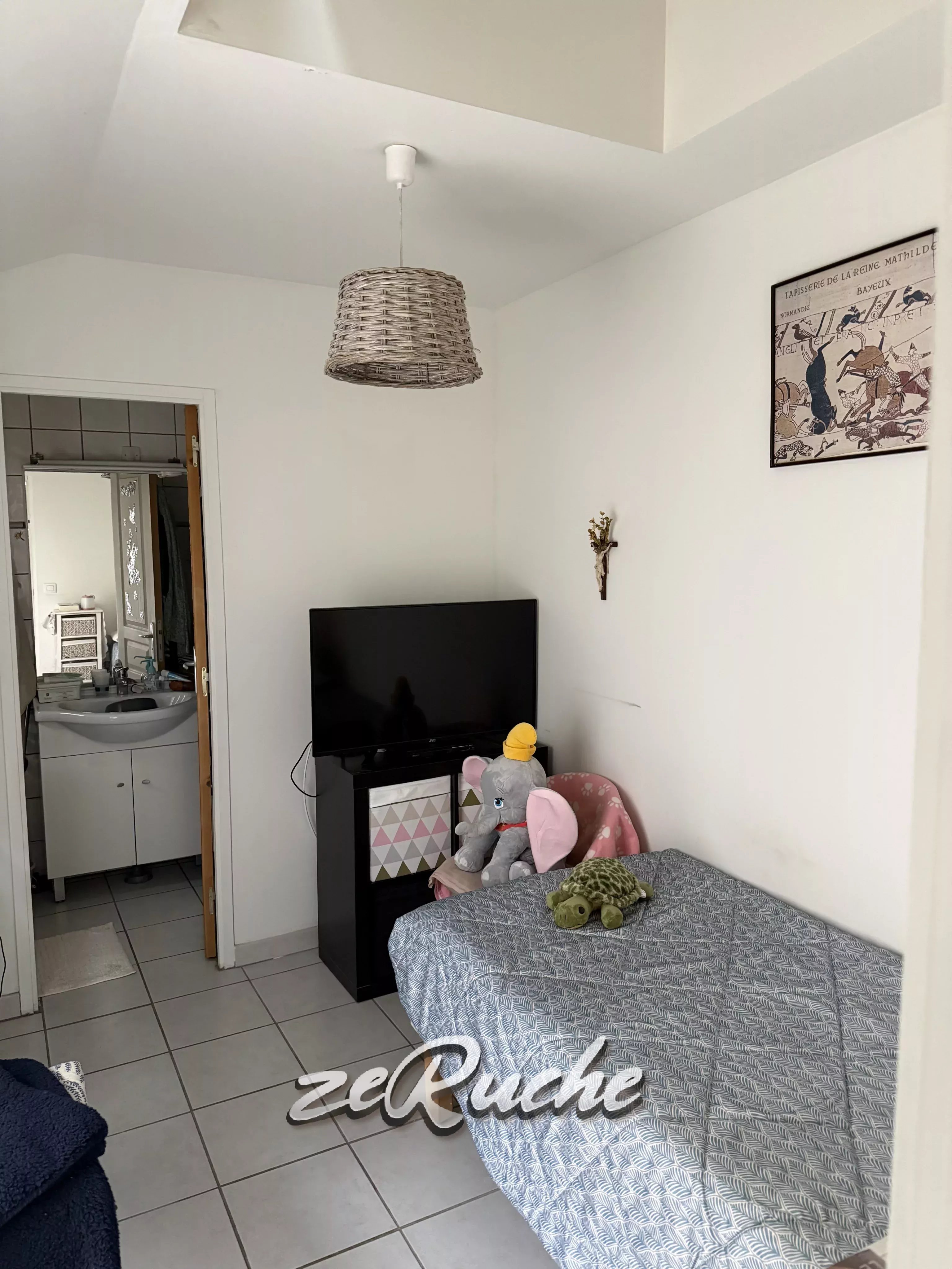 Agence immobilière de ZERUCHE