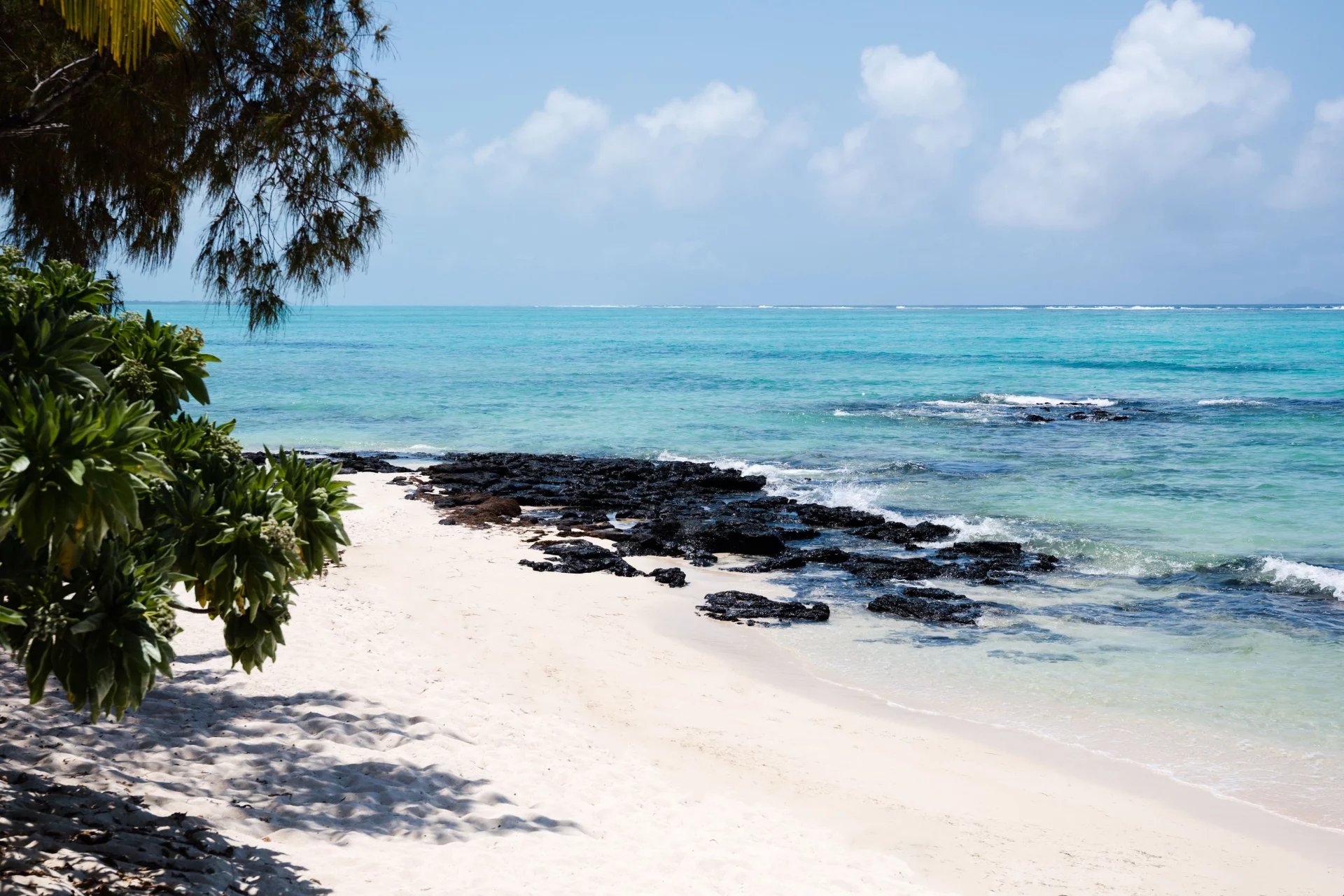 Kulübe Roches Noires