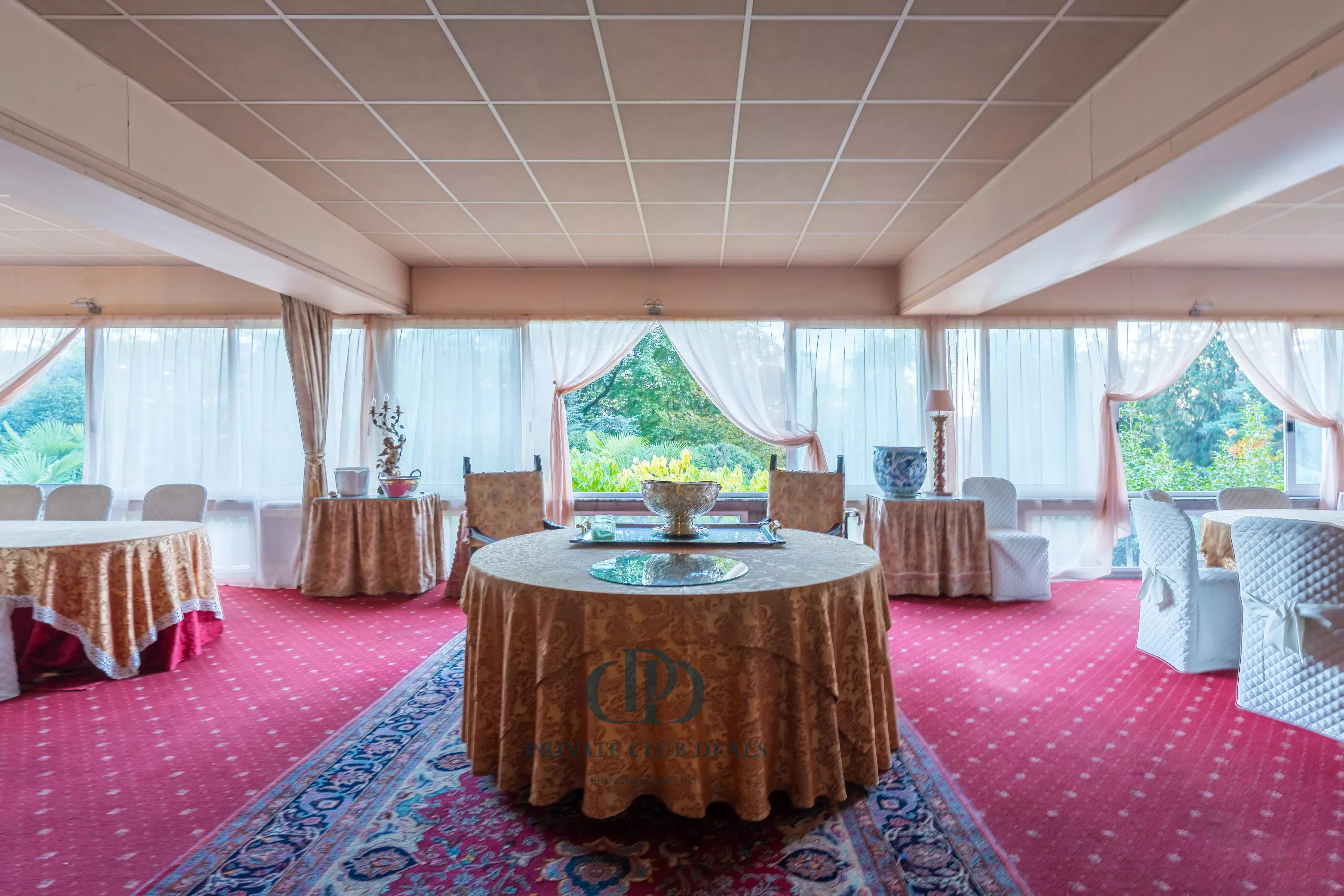 Saray Lesa - picture 14