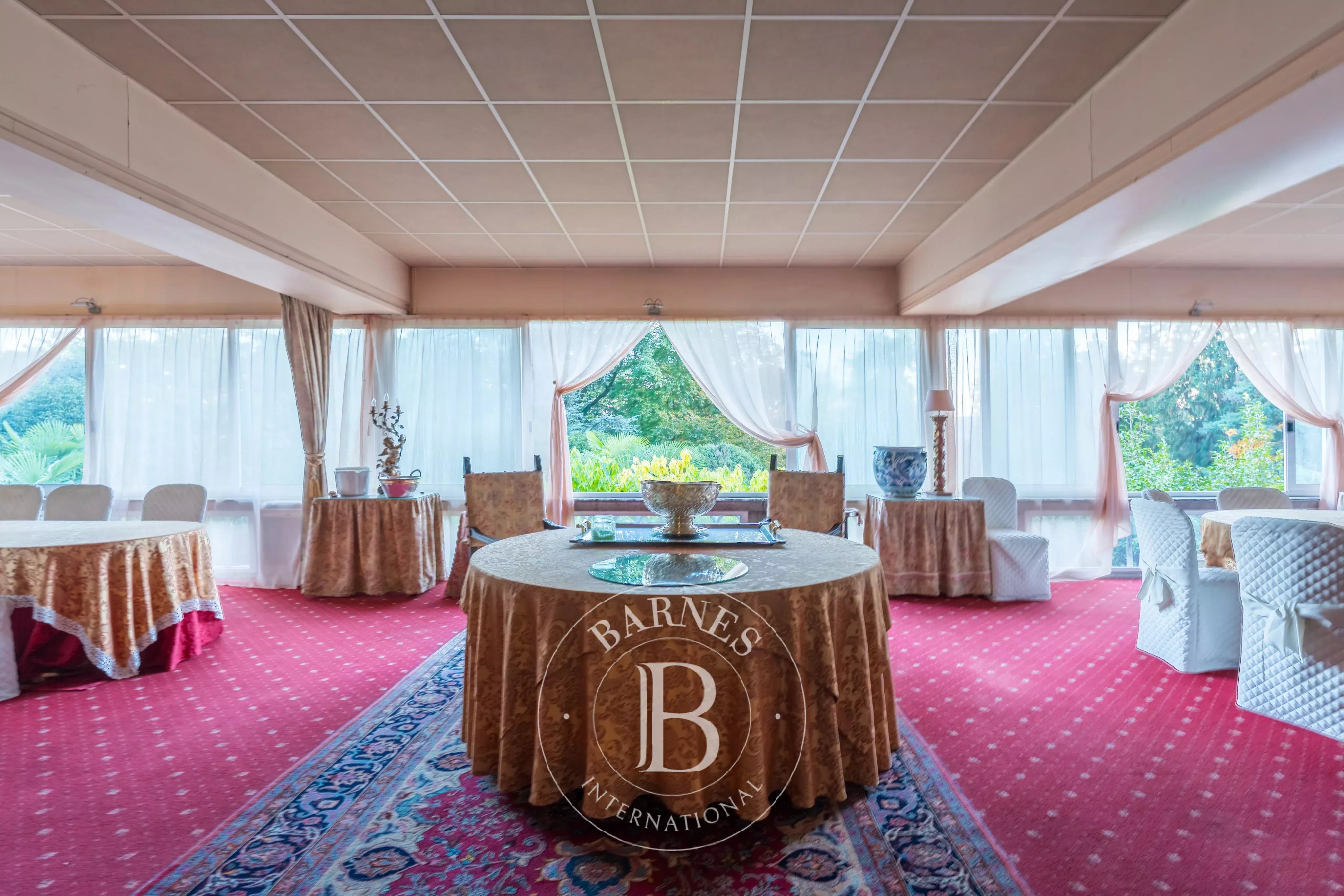 Saray Lesa - picture 14