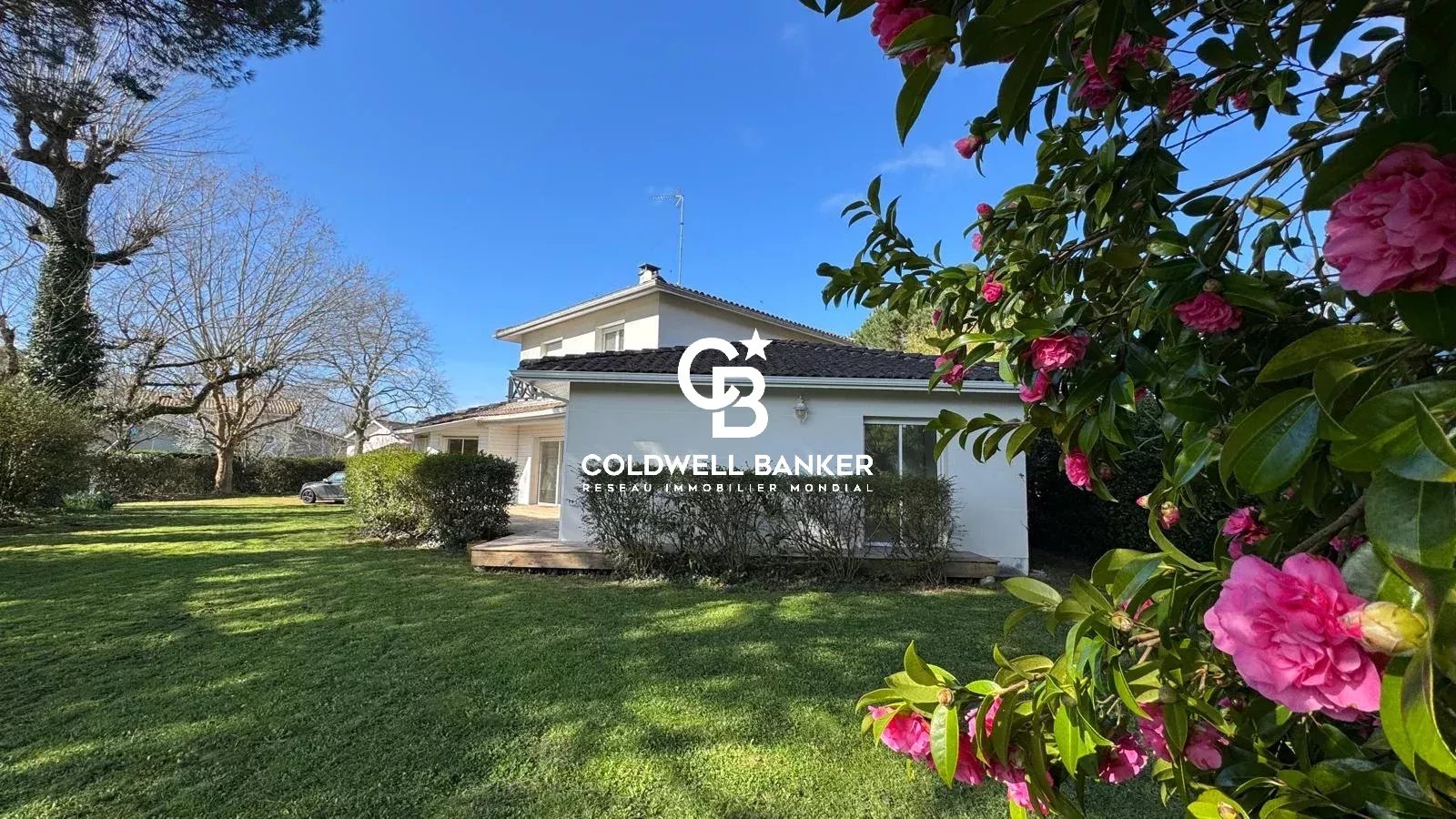 Agence immobilière de Silver Coast Int. Realty