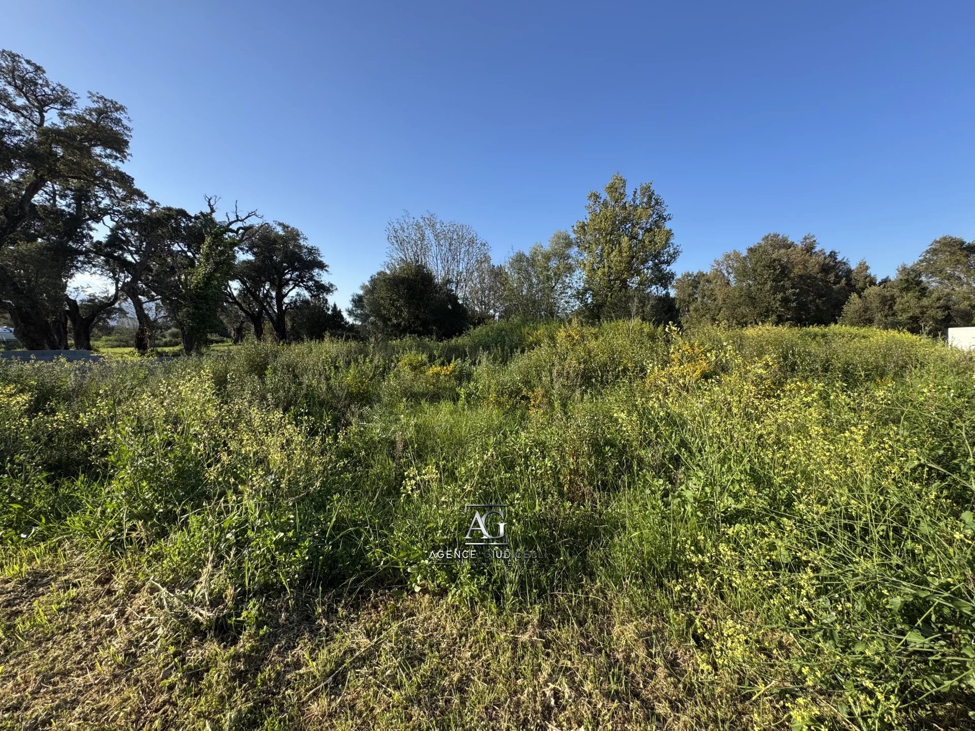 Agence immobilière de Agence Giudicelli Immobilier