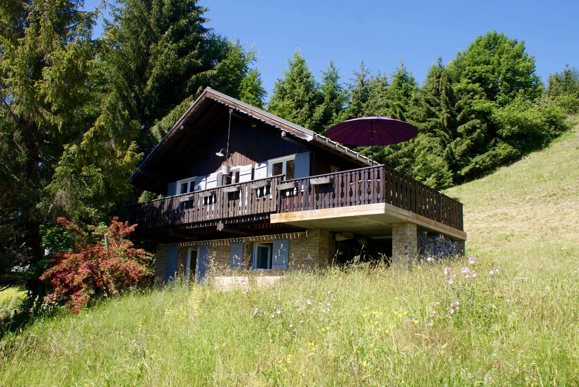 Chalet avec vue Mont Blanc Saint Nicolas la Chapelle (73590)