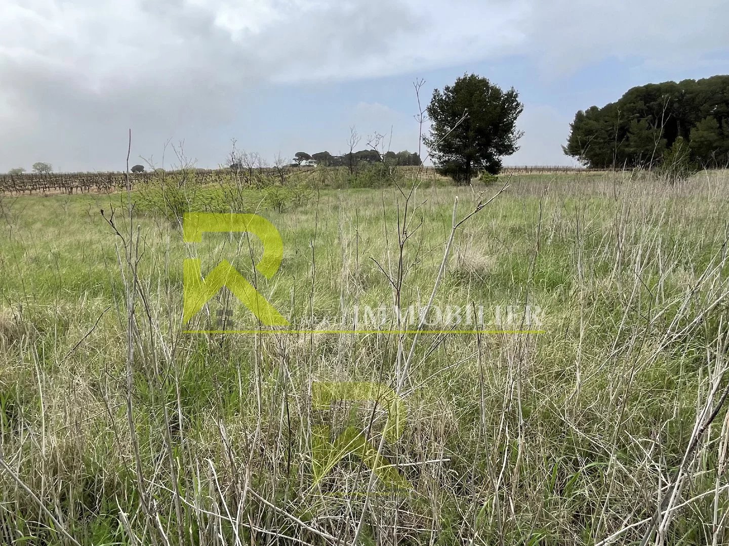 Vente Terrain Servian