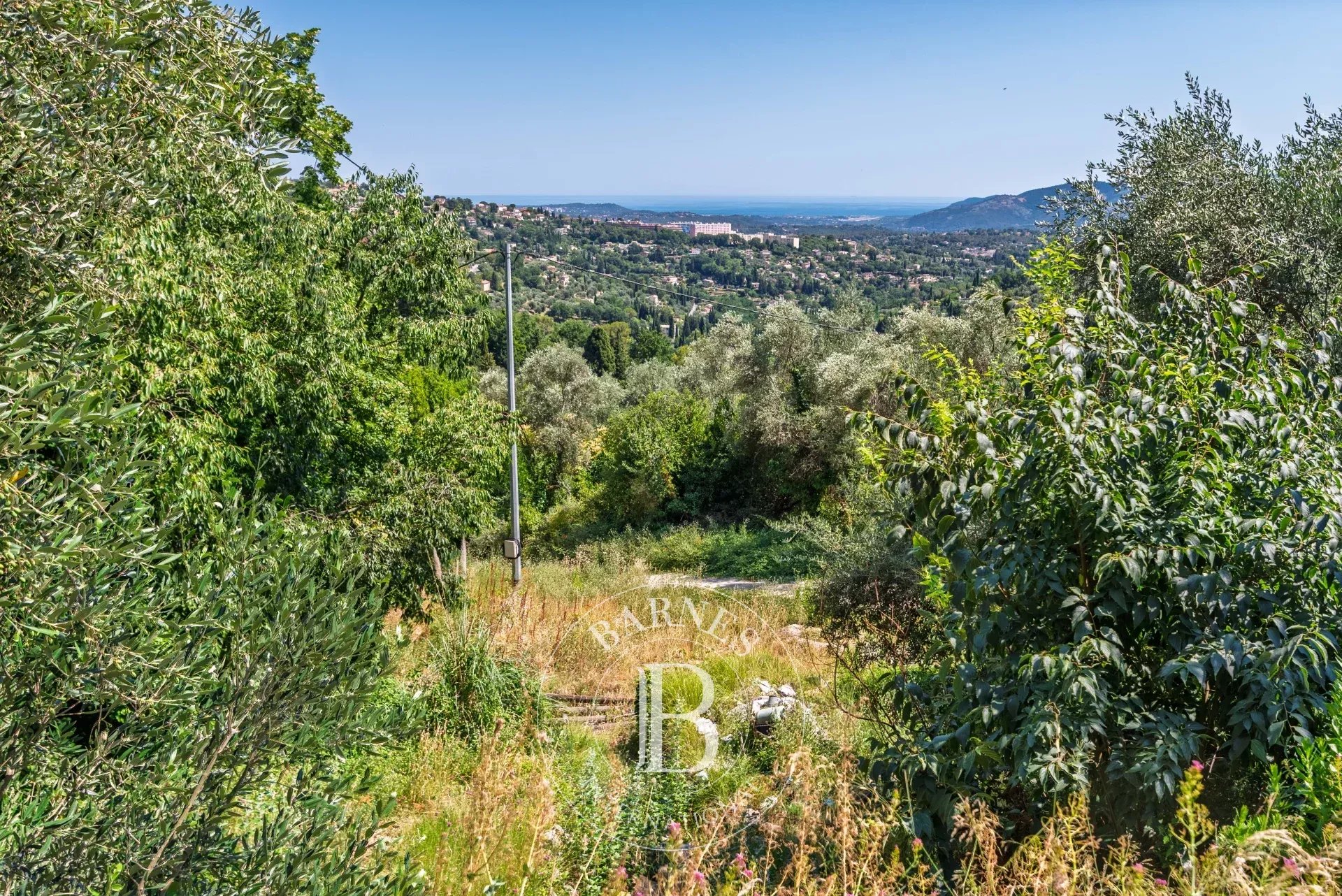 Grasse  - Terrain  - picture 7