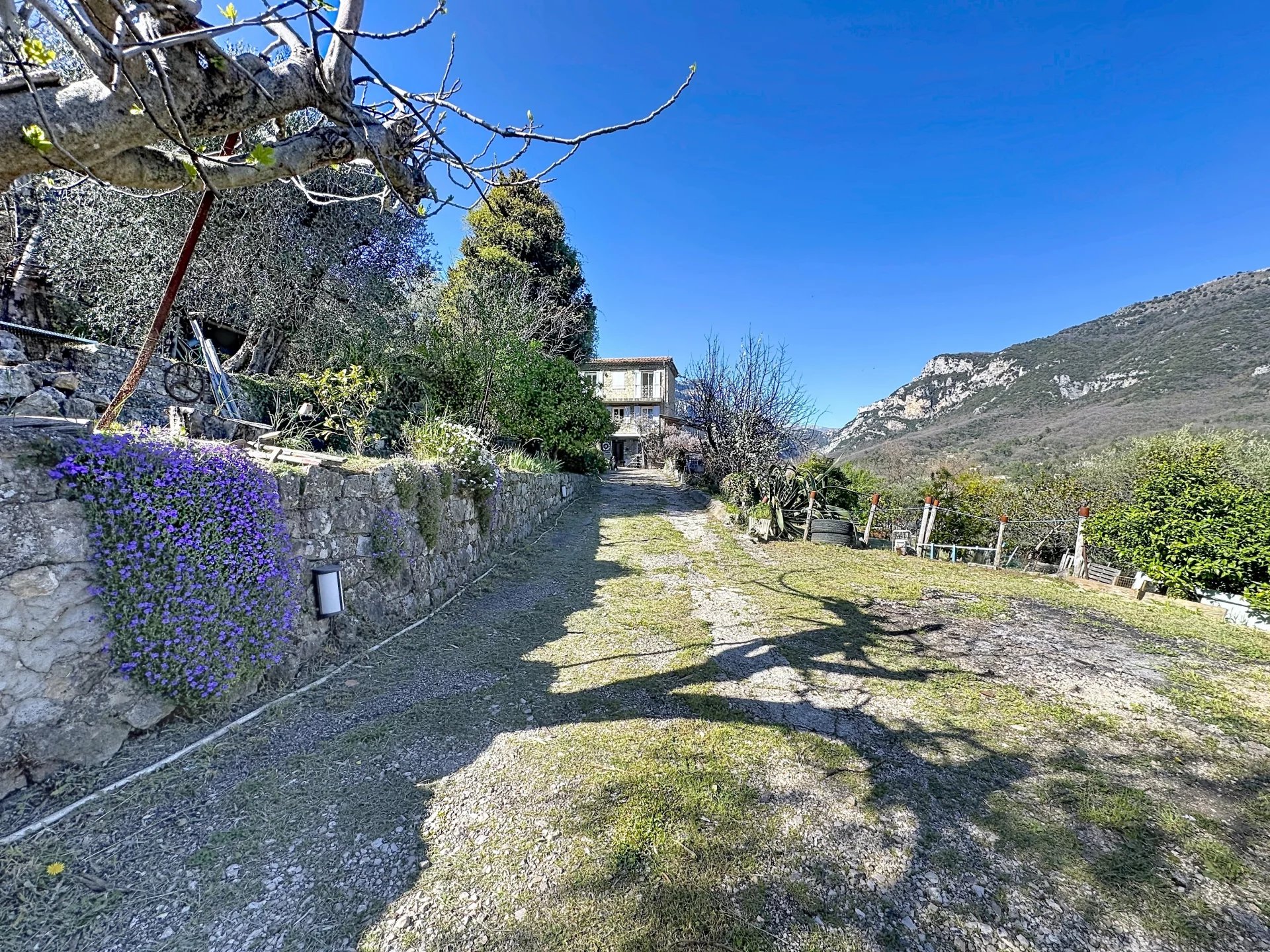 Agence immobilière de Infinity Group Immobilier