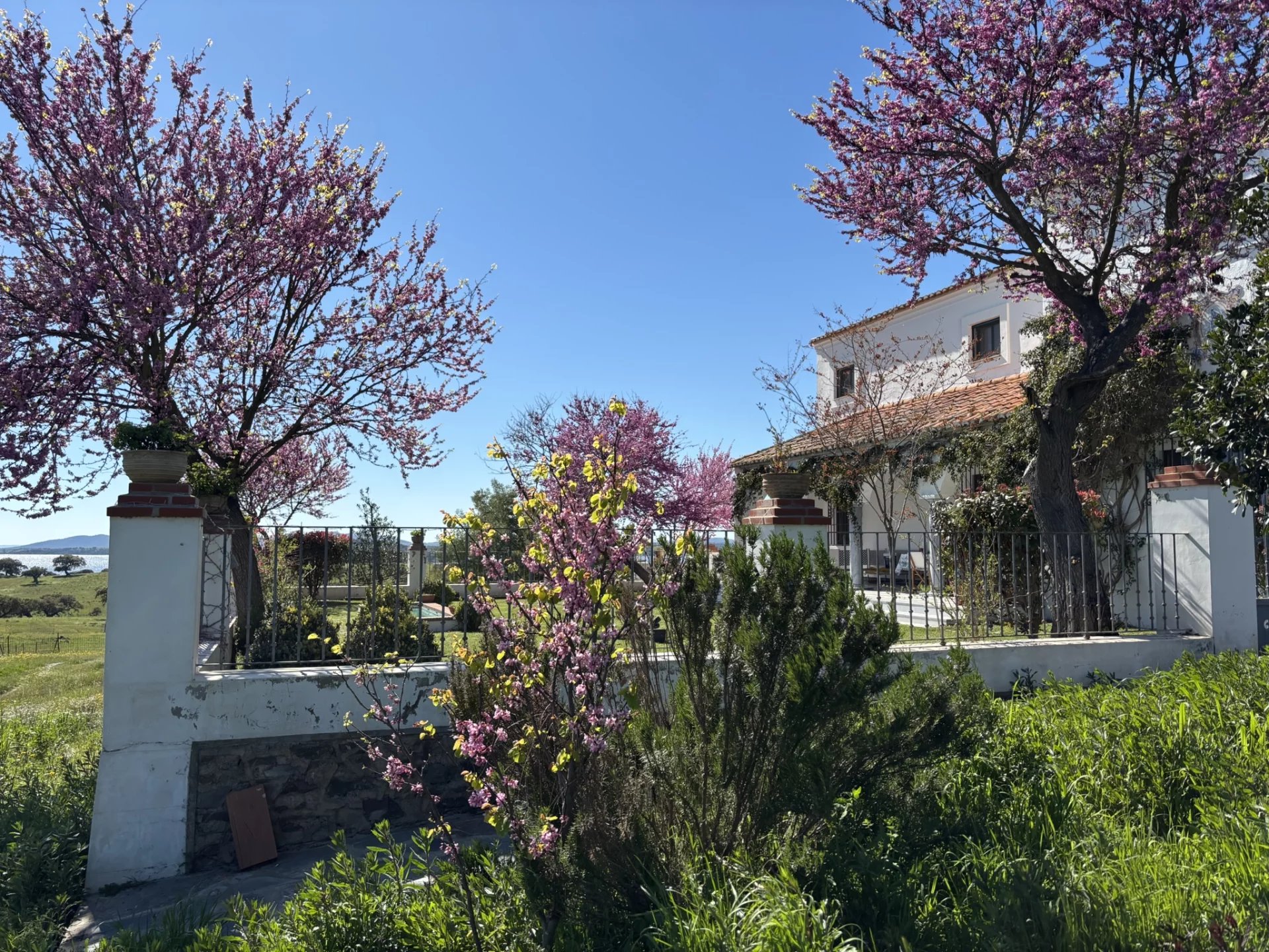 Dehesa Estate with Cortijo on the Shores of Lake Alqueva
